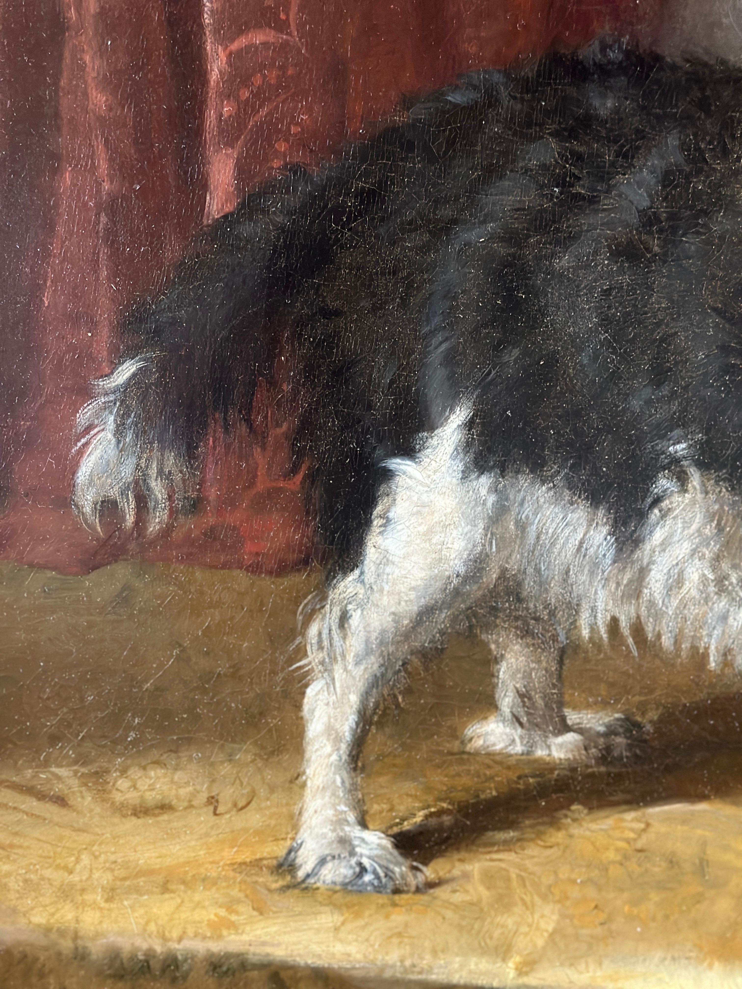 A portrait of a black and white spaniel dog in a sumptuous interior - English School Painting by Samuel John Carter