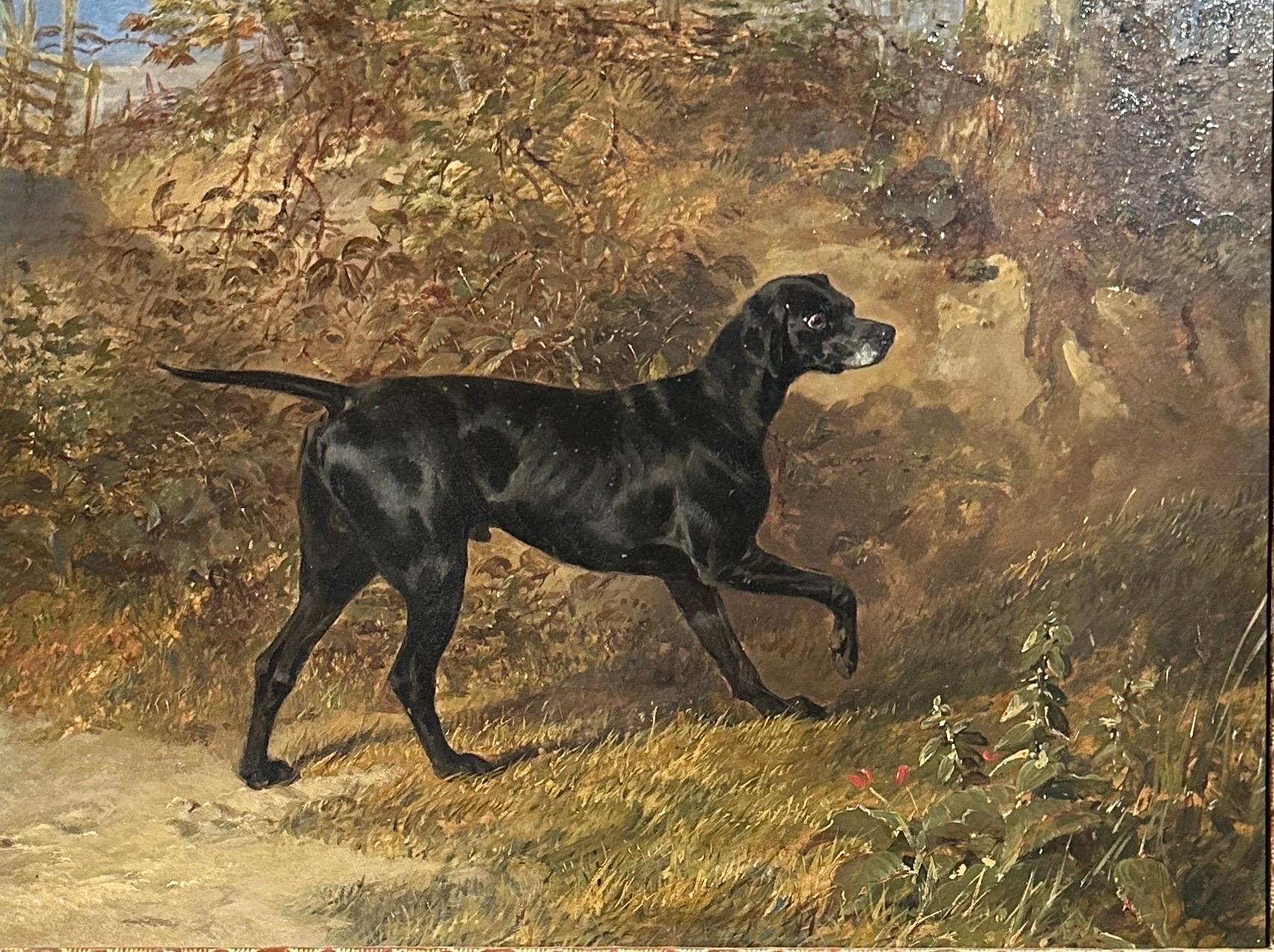 English 19th century portrait painting of a Pointer dog in a woodland landscape - Painting by John Frederick Herring Sr.