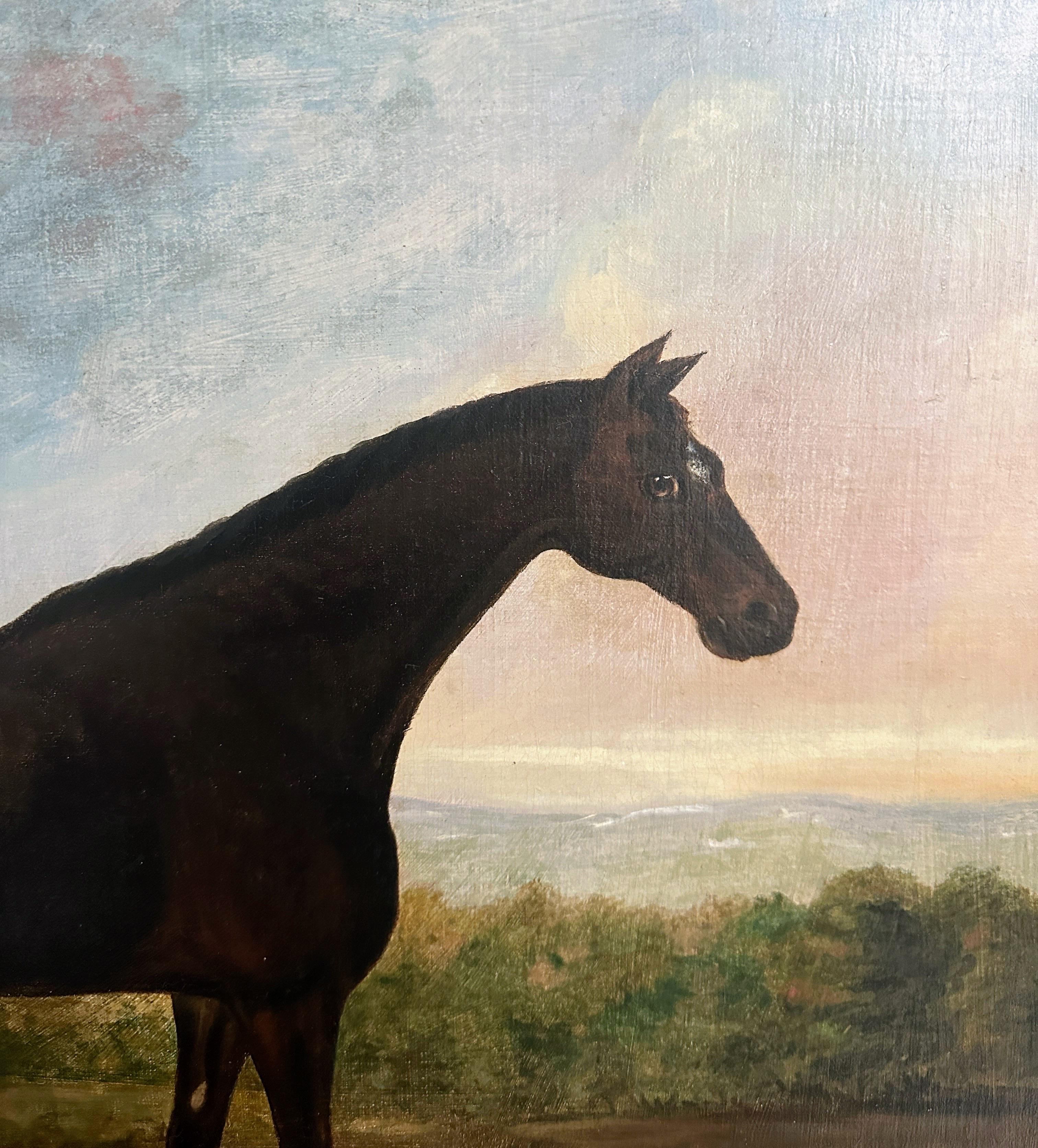 A dark bay horse standing in an extensive English landscape - English School Painting by David Dalby