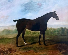 A dark bay horse standing in an extensive English landscape