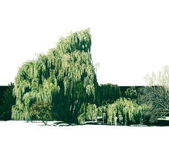 In the Willows