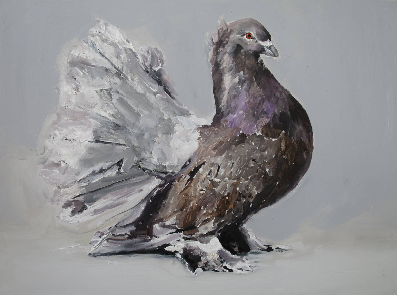 Santiago Ydañez Animal Painting - Untitled (Pigeon)