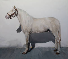Untitled (White Horse with Halter)