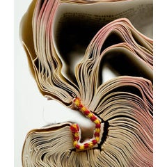 "Book Number 30", Archival Digital Print Photography 7