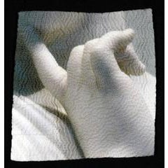 Perhaps by Luanne Rimel, Digital Print on Hand Stitched Fabric, Framed 11