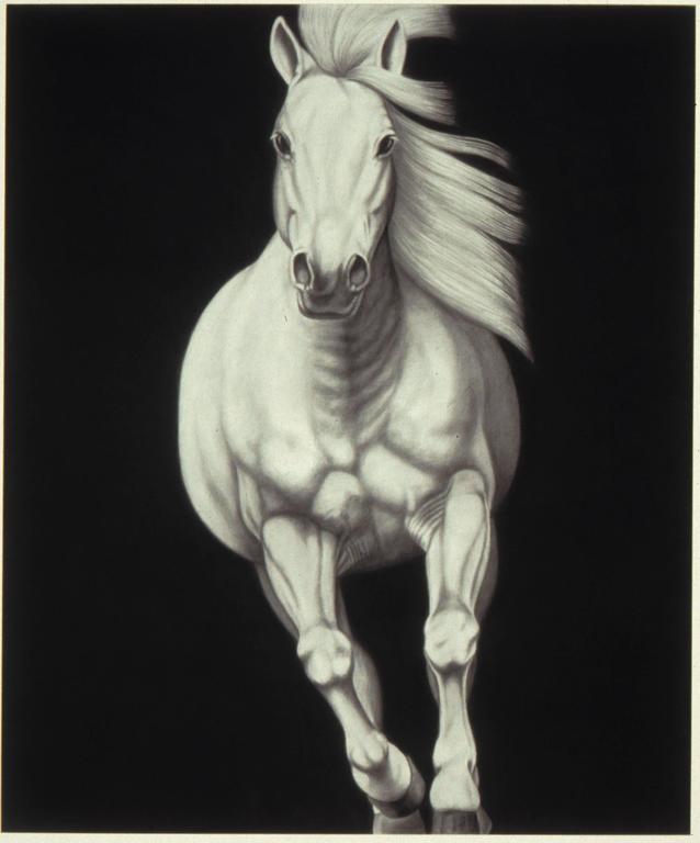 72" x 60" , graphite on canvas