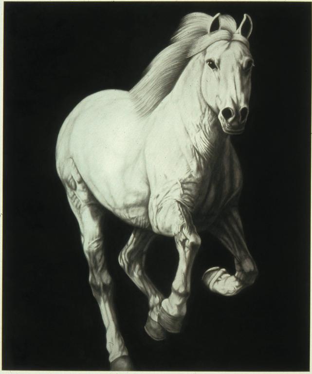 Joseph Piccillo Galloping Horse, Large Scale Charcoal Drawing on