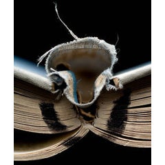 "Book Number 1",Archival Digital Print Photography 8
