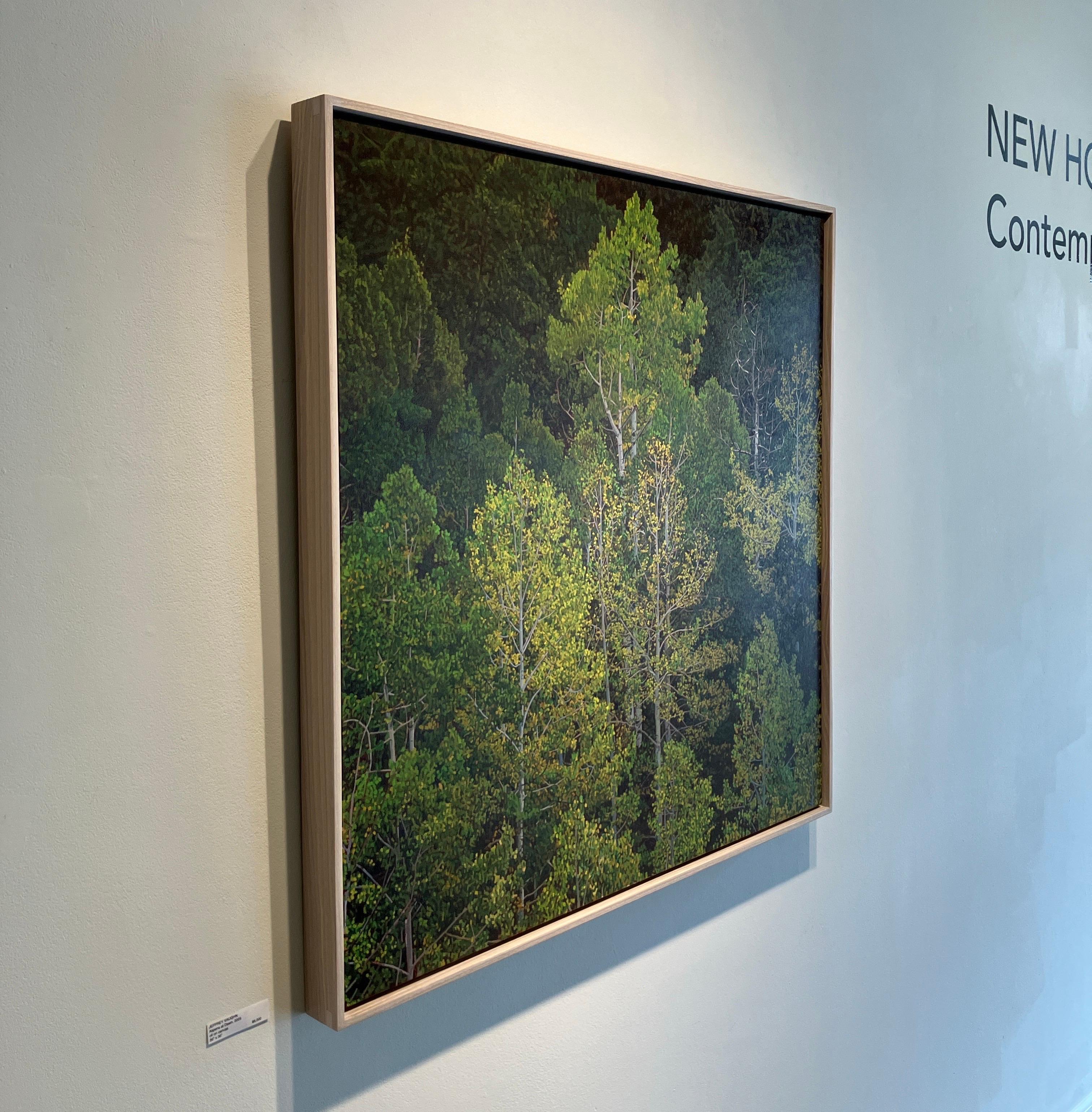 Photorealistic Oil Painting, Framed in Pine, Aspens at Dawn, Landscape, Trees For Sale 3