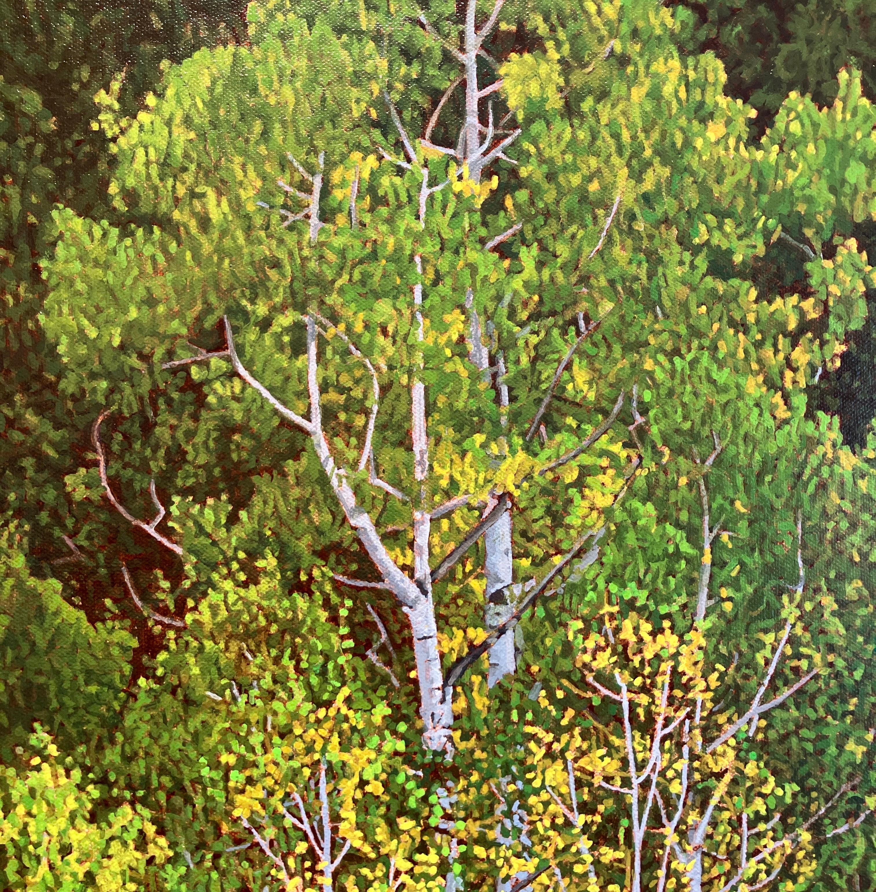 Photorealistic Oil Painting, Framed in Pine, Aspens at Dawn, Landscape, Trees For Sale 4