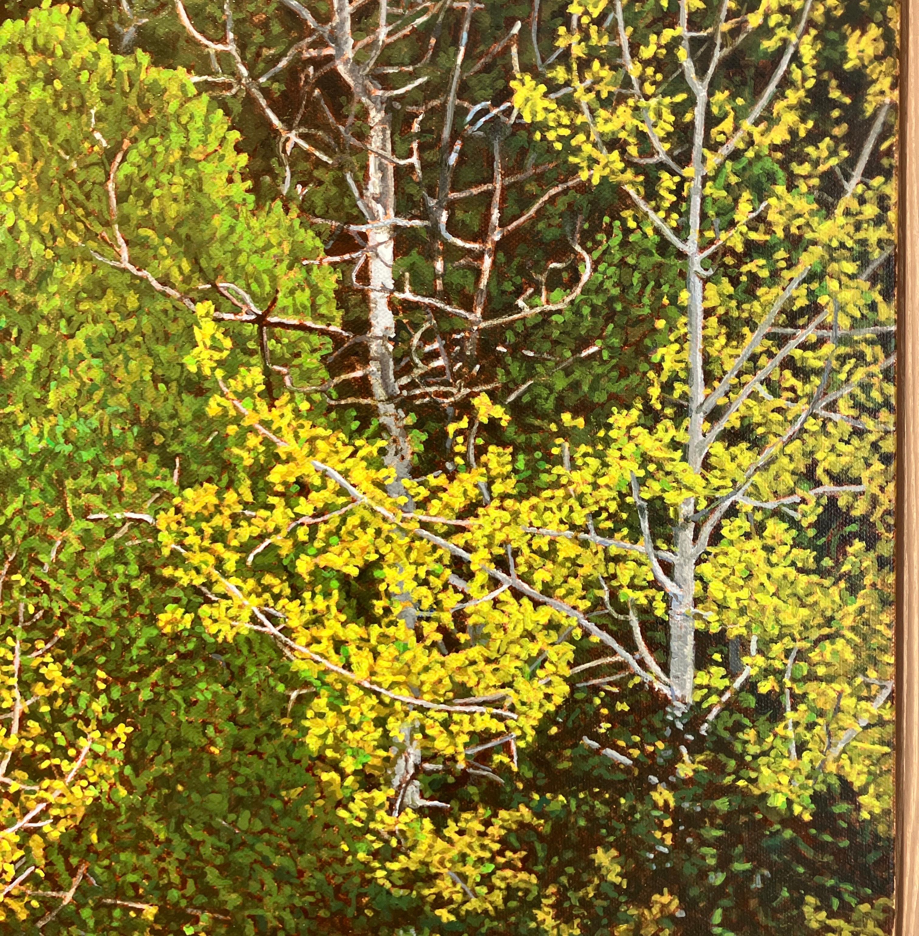 Photorealistic Oil Painting, Framed in Pine, Aspens at Dawn, Landscape, Trees For Sale 6