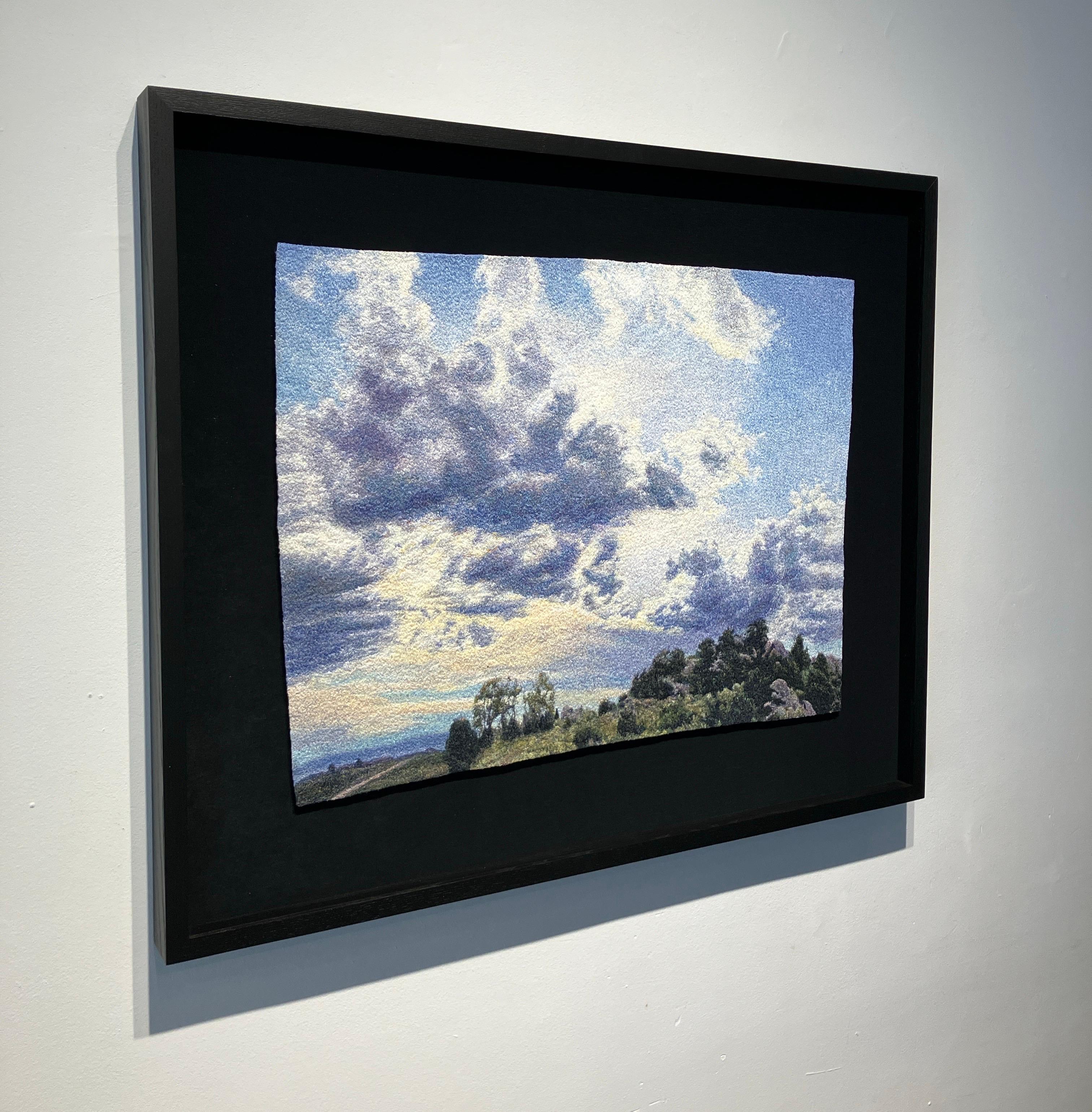 Photorealistic Embroidery, Framed, Landscape, Big Sky, Clouds, Trees, Fiber Art - Painting by Carol Shinn