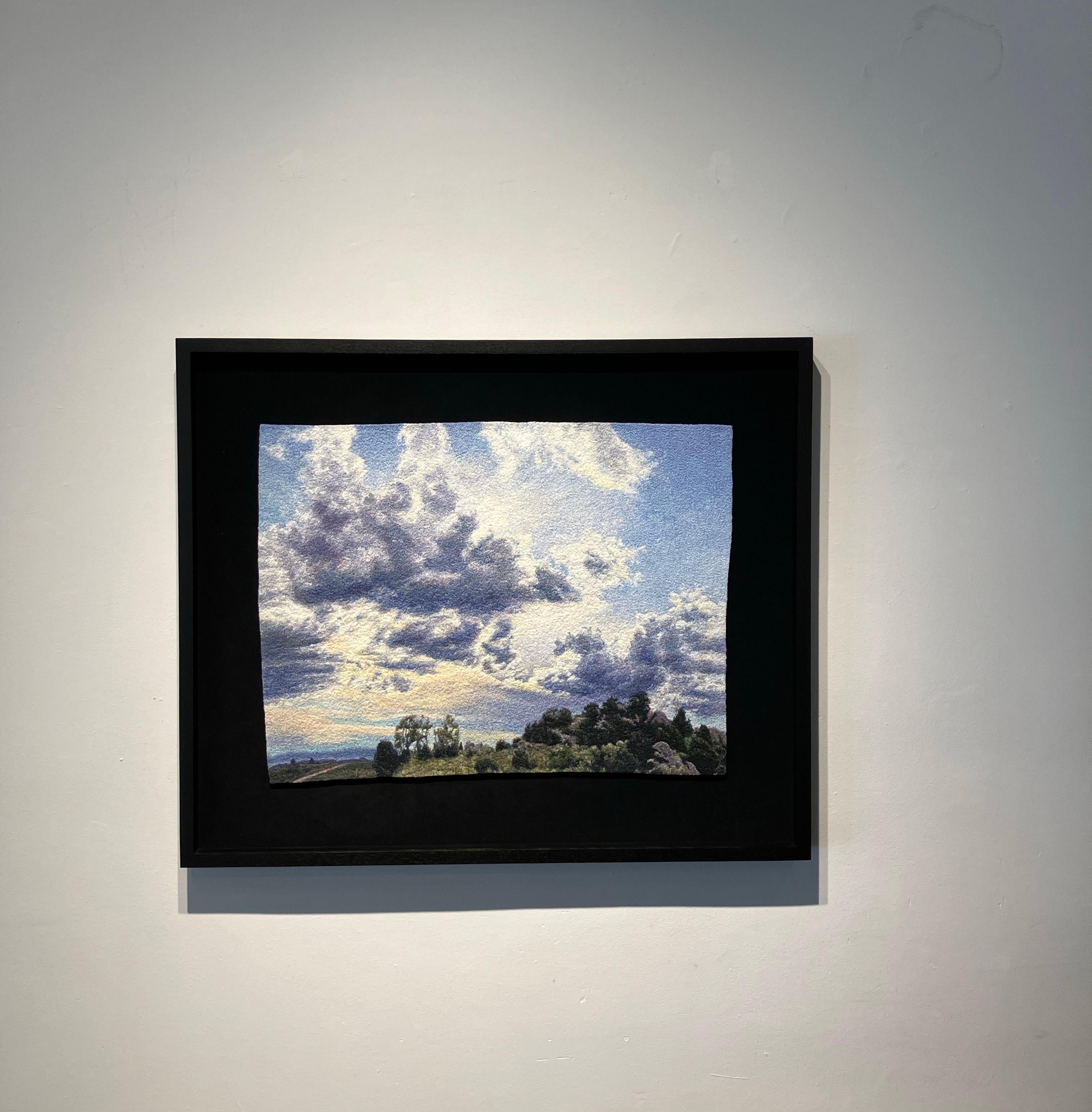 Photorealistic Embroidery, Framed, Landscape, Big Sky, Clouds, Trees, Fiber Art

“The stitches are like pencil hatching. Different colors of thread are layered throughout each piece to enrich the colors. These layers become so dense that none of the