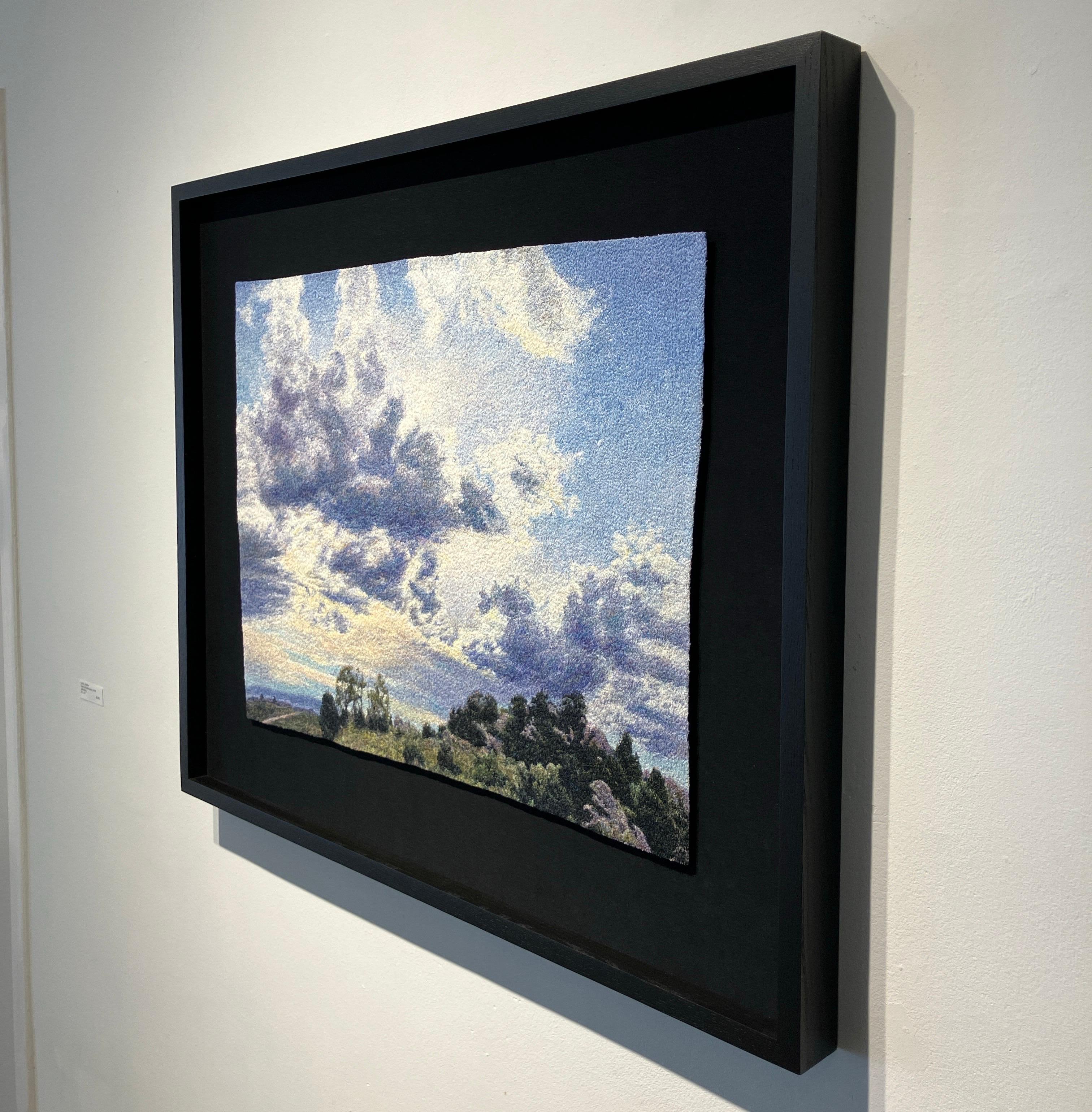 Photorealistic Embroidery, Framed, Landscape, Big Sky, Clouds, Trees, Fiber Art For Sale 2