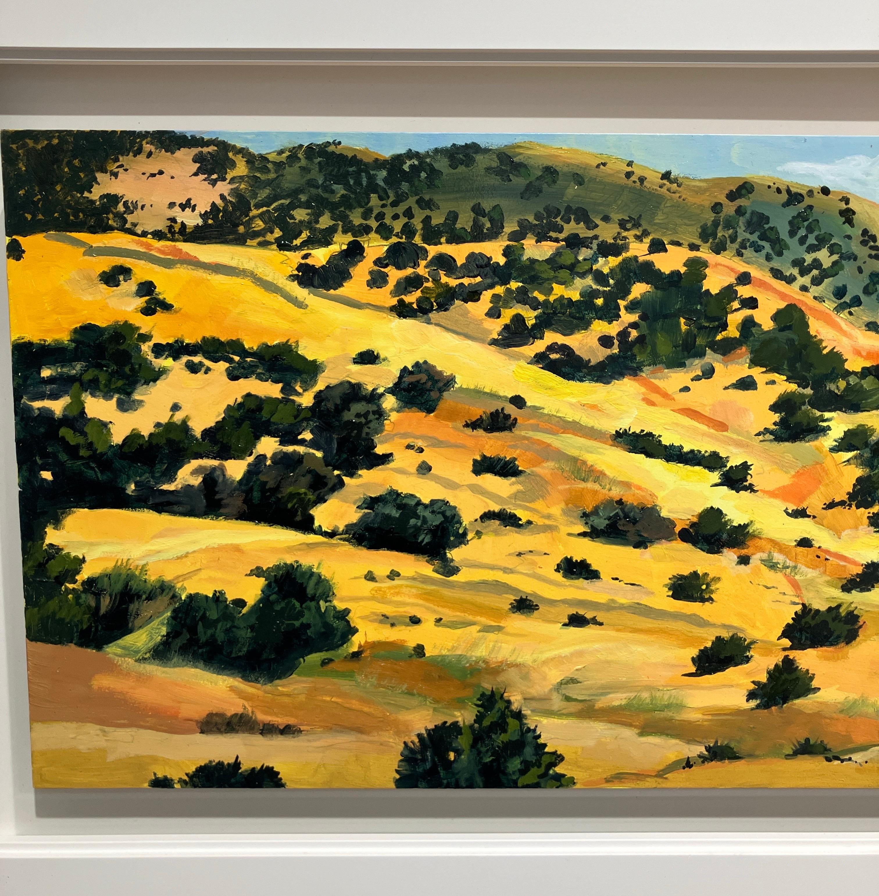 Horizontal Landscape Oil Painting on Panel, Framed, Earth Tones, Steve Cope For Sale 4