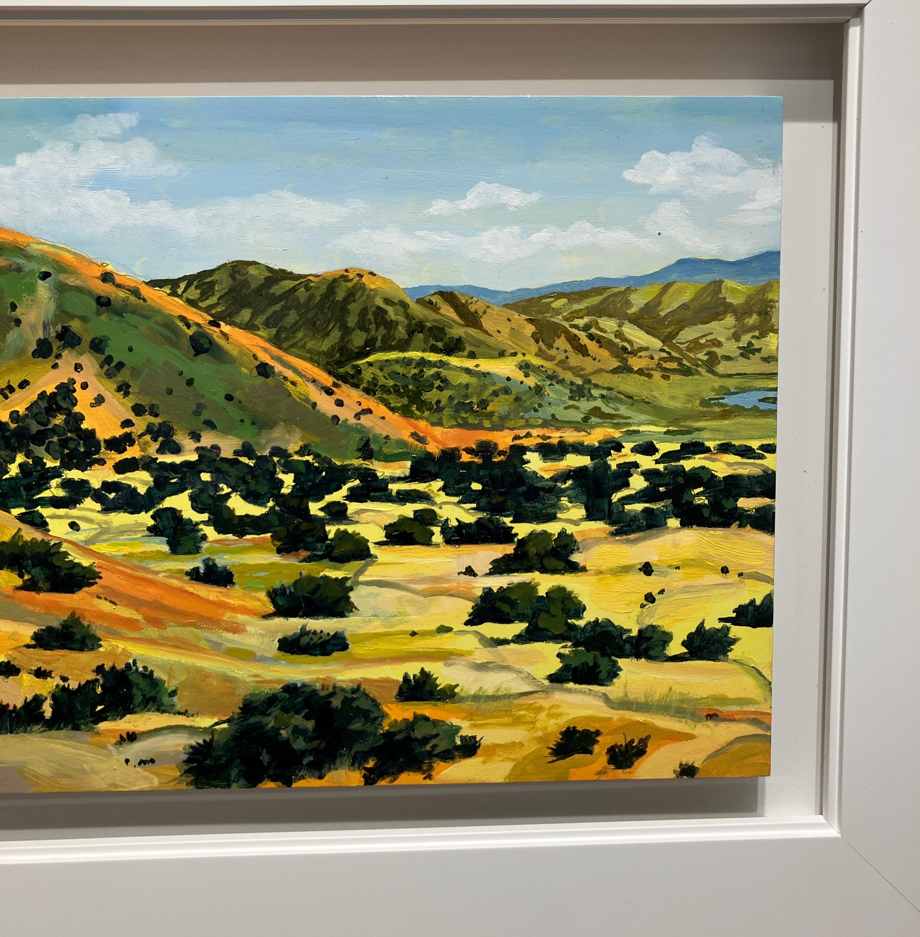 Horizontal Landscape Oil Painting on Panel, Framed, Earth Tones, Steve Cope For Sale 5