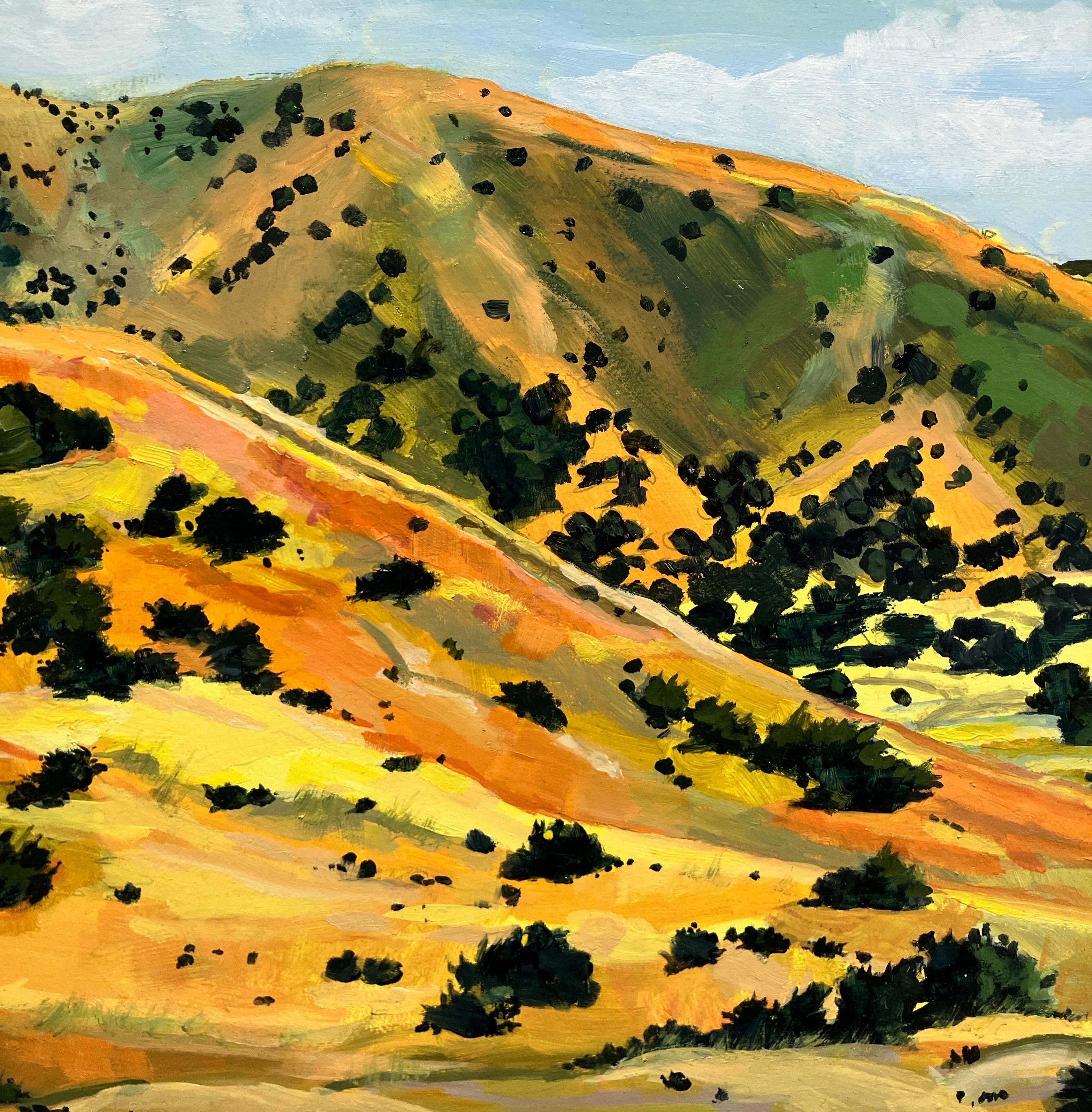 Horizontal Landscape Oil Painting on Panel, Framed, Earth Tones, Steve Cope For Sale 6
