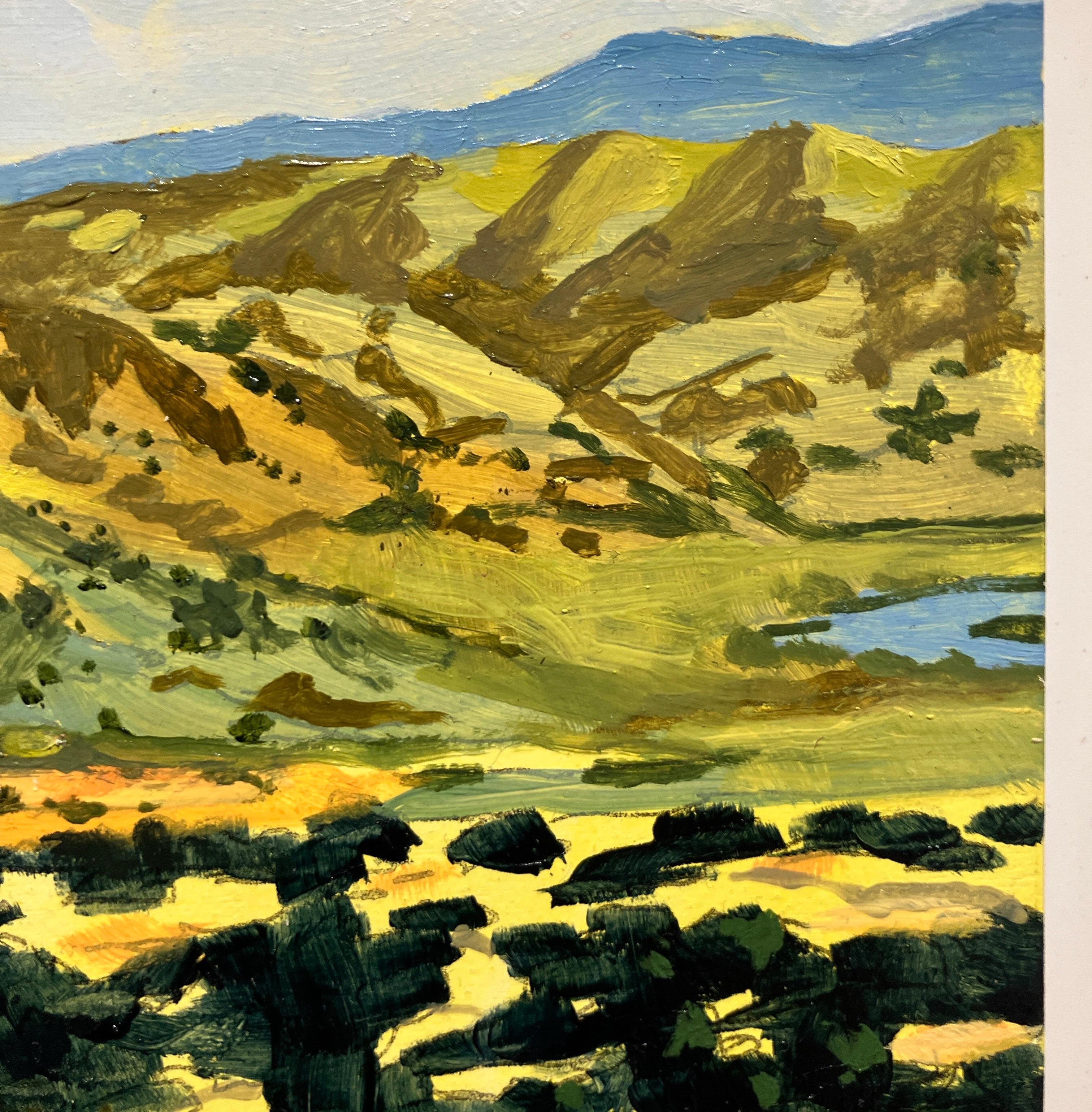 Horizontal Landscape Oil Painting on Panel, Framed, Earth Tones, Steve Cope For Sale 7