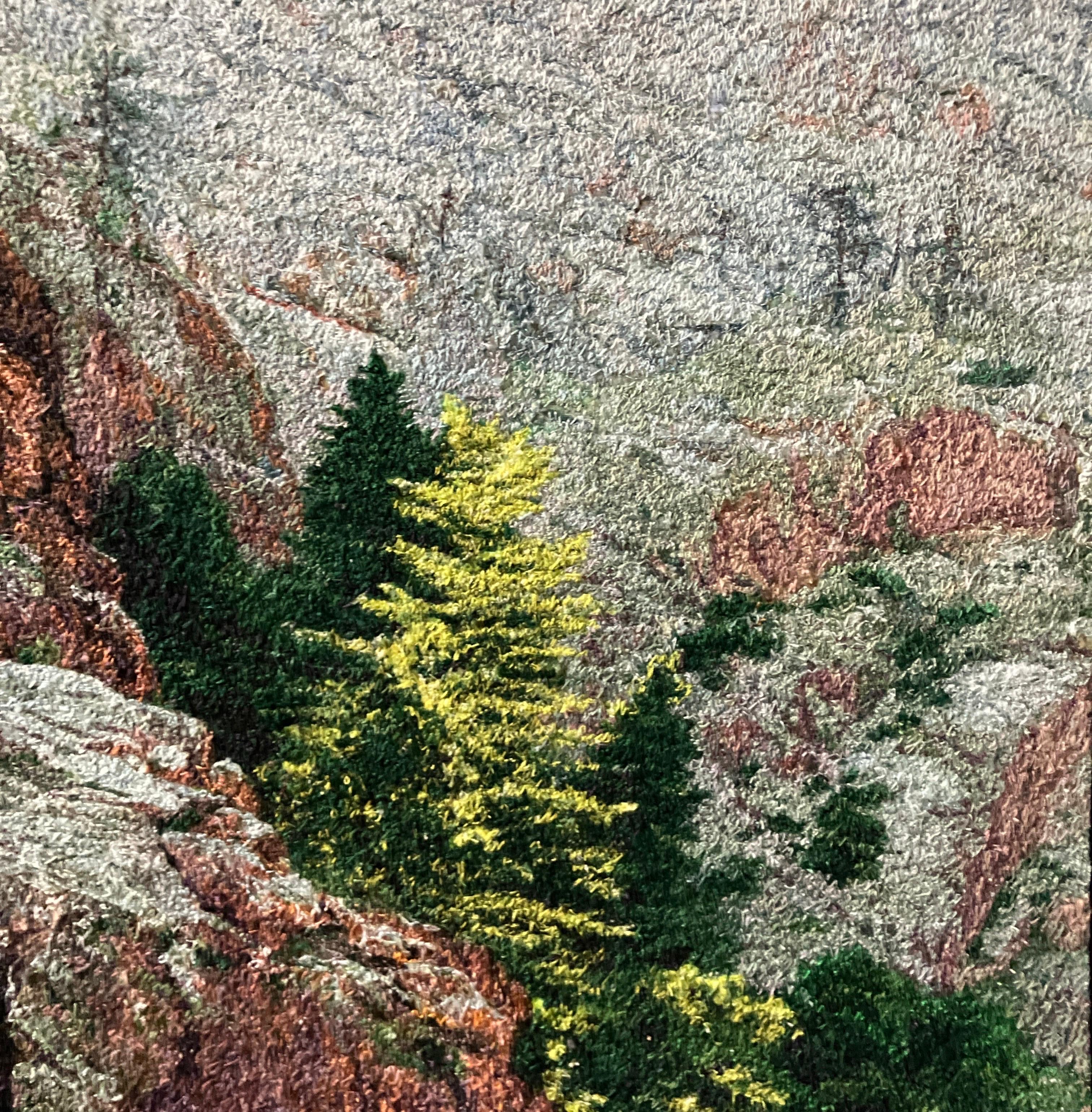 Cliff by the River by Carol Shinn, 2024, Framed Photorealistic Embroidery Thread For Sale 6