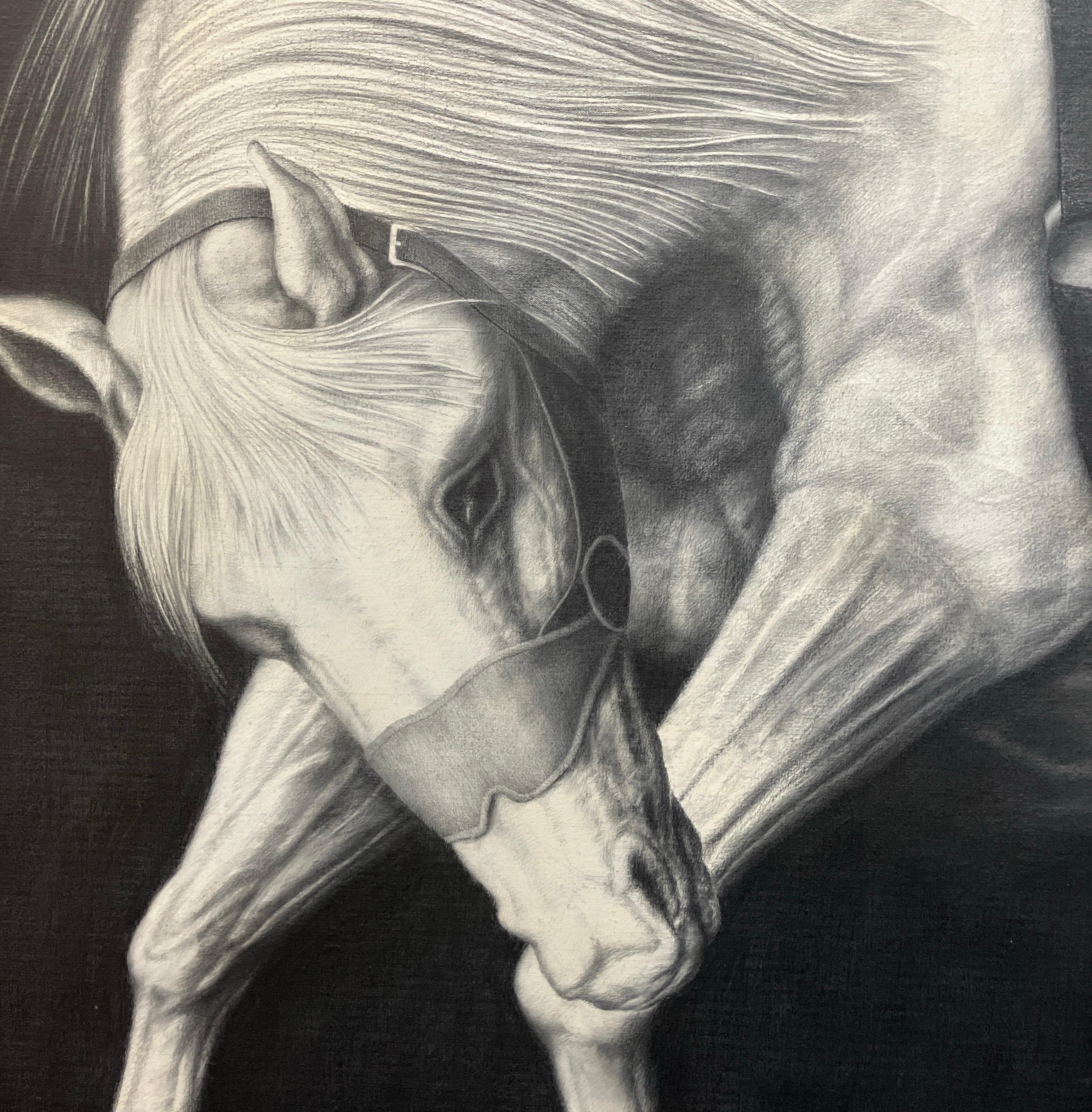 „Edge Event XXVII“, Figurative, Graphit, Zeichnung, Leinwand, Pferde, Realismus (Zeitgenössisch), Art, von Joseph Piccillo