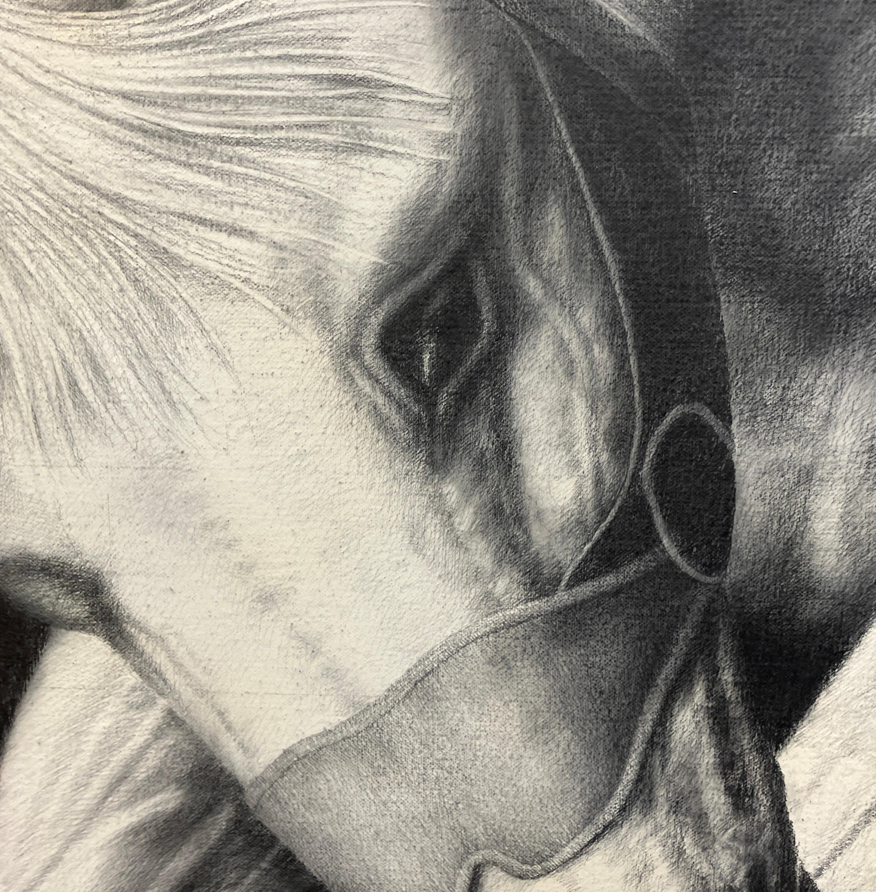 „Edge Event XXVII“, Figurative, Graphit, Zeichnung, Leinwand, Pferde, Realismus (Schwarz), Figurative Art, von Joseph Piccillo