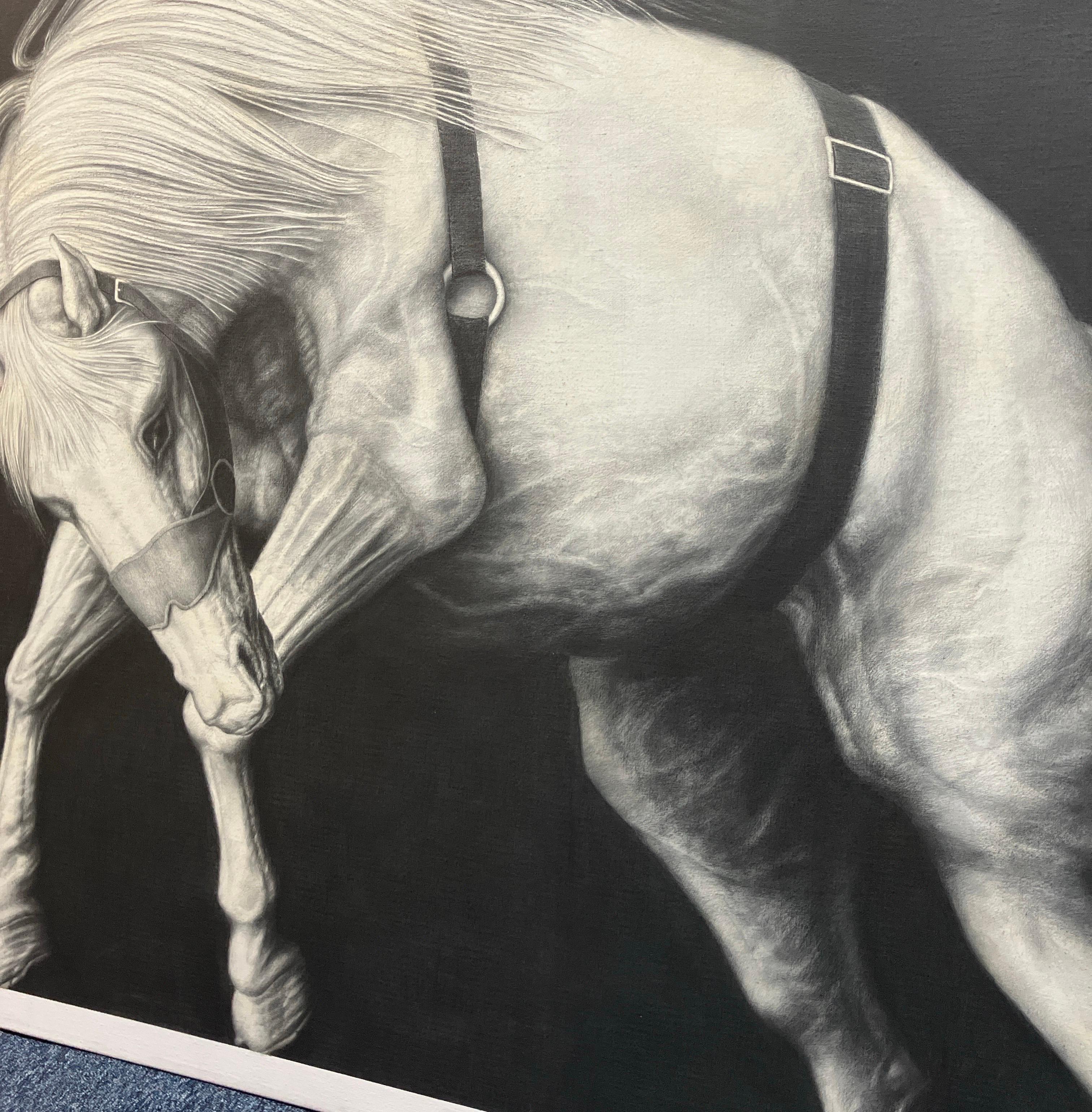 Joseph Piccillos akribische Kohle- und Graphitzeichnungen und Gemälde zeugen von einer exquisiten Zeichenkunst, die von emotionaler Sensibilität geprägt ist. Piccillo präsentiert eine handlungsorientierte Assemblage von Bildern und Symbolen, indem