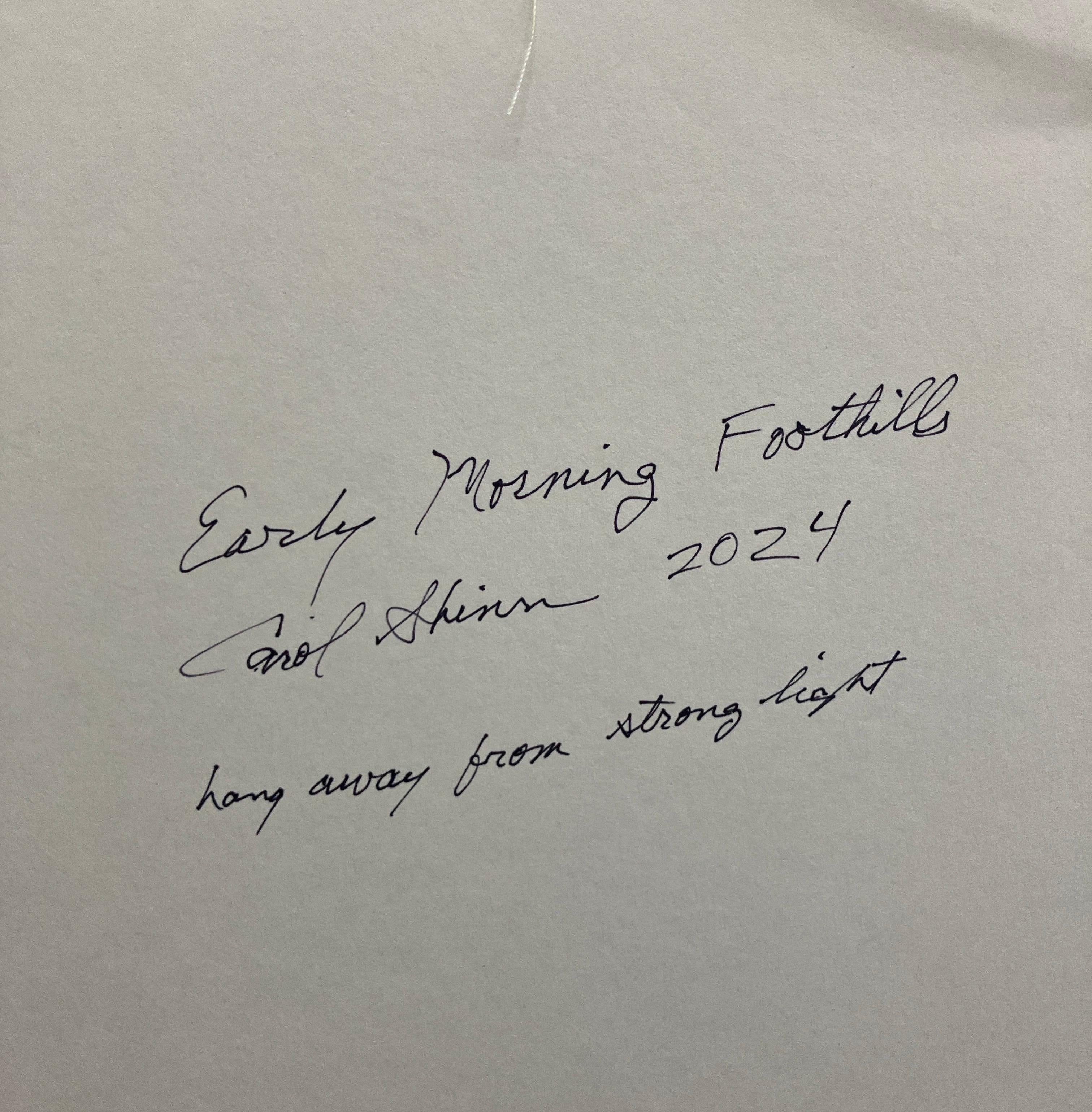 Early Morning Foothills by Carol Shinn, 2024, Photorealistic Embroidery, Thread For Sale 8