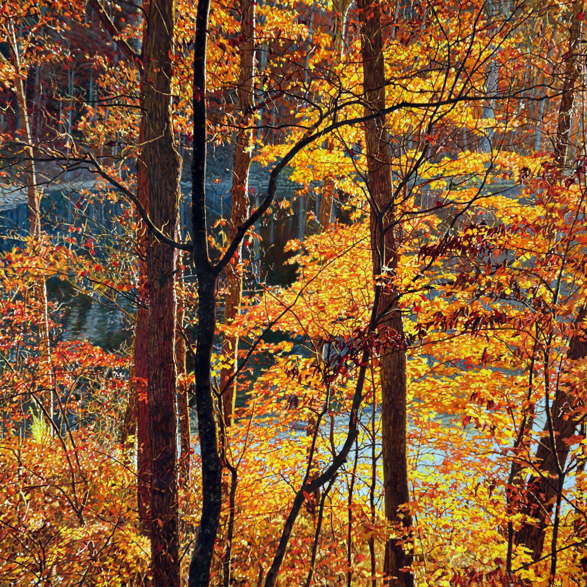 Jeffrey Vaughn Landscape Painting - "Thicket Number 42: Innsbrook", Landscape Oil Painting on Canvas, Framed