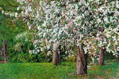 "Thicket 39: Crabapples", Contemporary, Photorealistic, Oil Painting, Framed