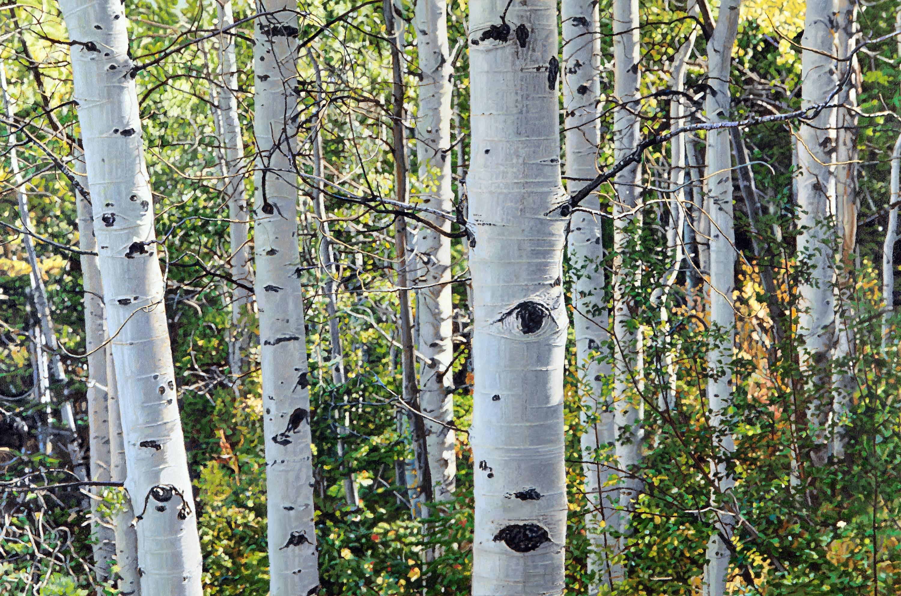 Jeffrey Vaughn Landscape Painting - "Aspen Trees Number", Treescape Oil Painting on Stretched Canvas, Framed