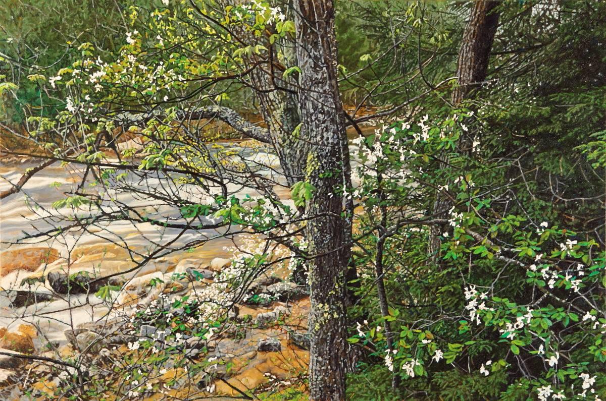 Jeffrey Vaughn Landscape Painting - Flowering Dogwood Rocky Stream