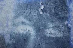 "Nature and Human Relationships – Embrace 2 – 50F" Portrait of Princess Diana