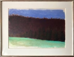 Vintage Large Xmas Tree Hill Pastel