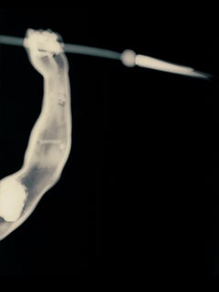 David Maisel Color Photography