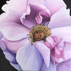 Purple Still-life Paintings