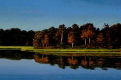 Sag Harbor Cove