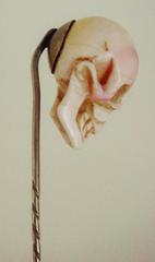 Memento Mori Pin Mounted with Large Japanese Carved Angel Skin Coral Skull