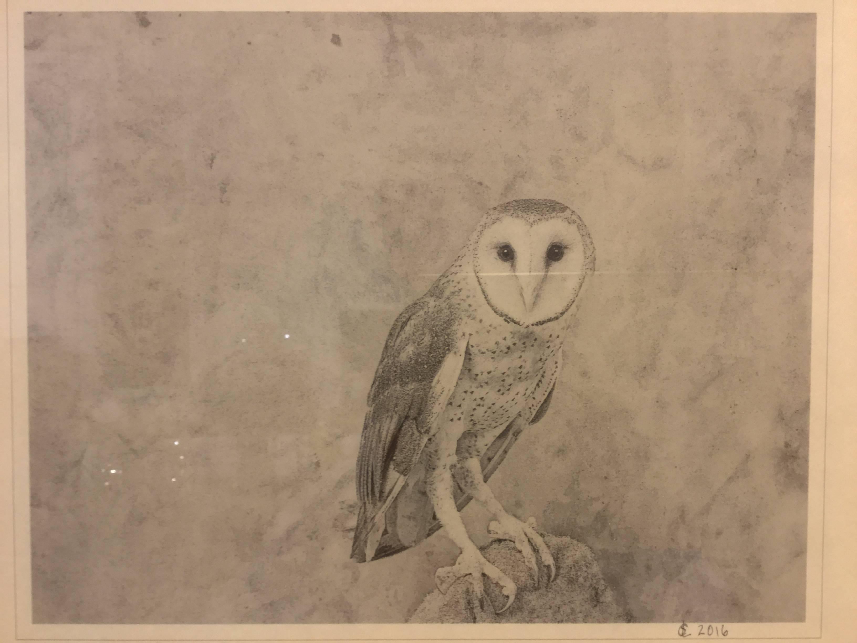 Mysterious photographic print of a barn owl. Against a fabric background that blends in an interesting way with the pattern of the barn owls feathers. Beautiful simple wood frame and archival matting. Photo by Stan Lichens.