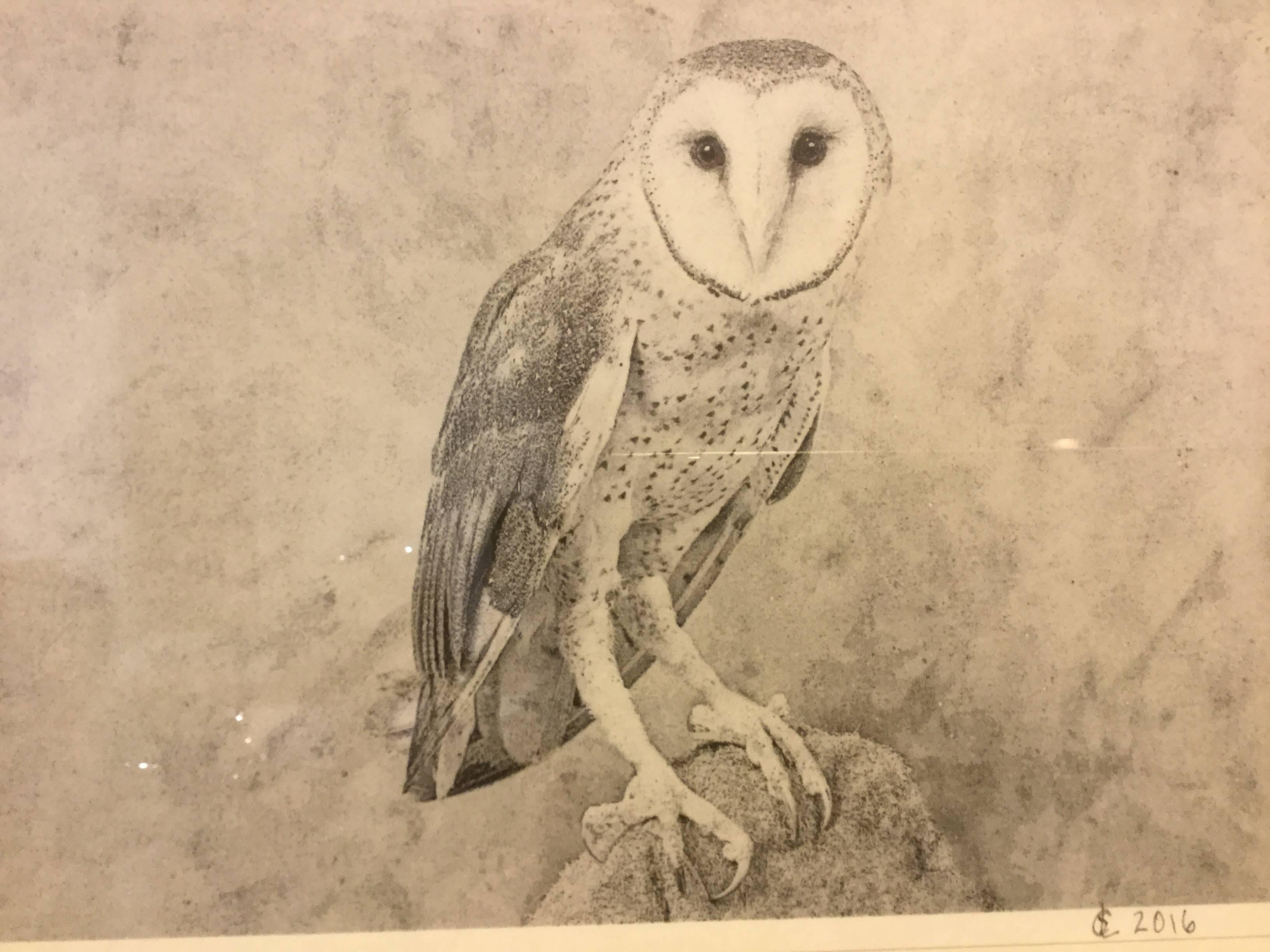 Framed Photograph / Print of an Owl In Excellent Condition In North Beninngton, VT