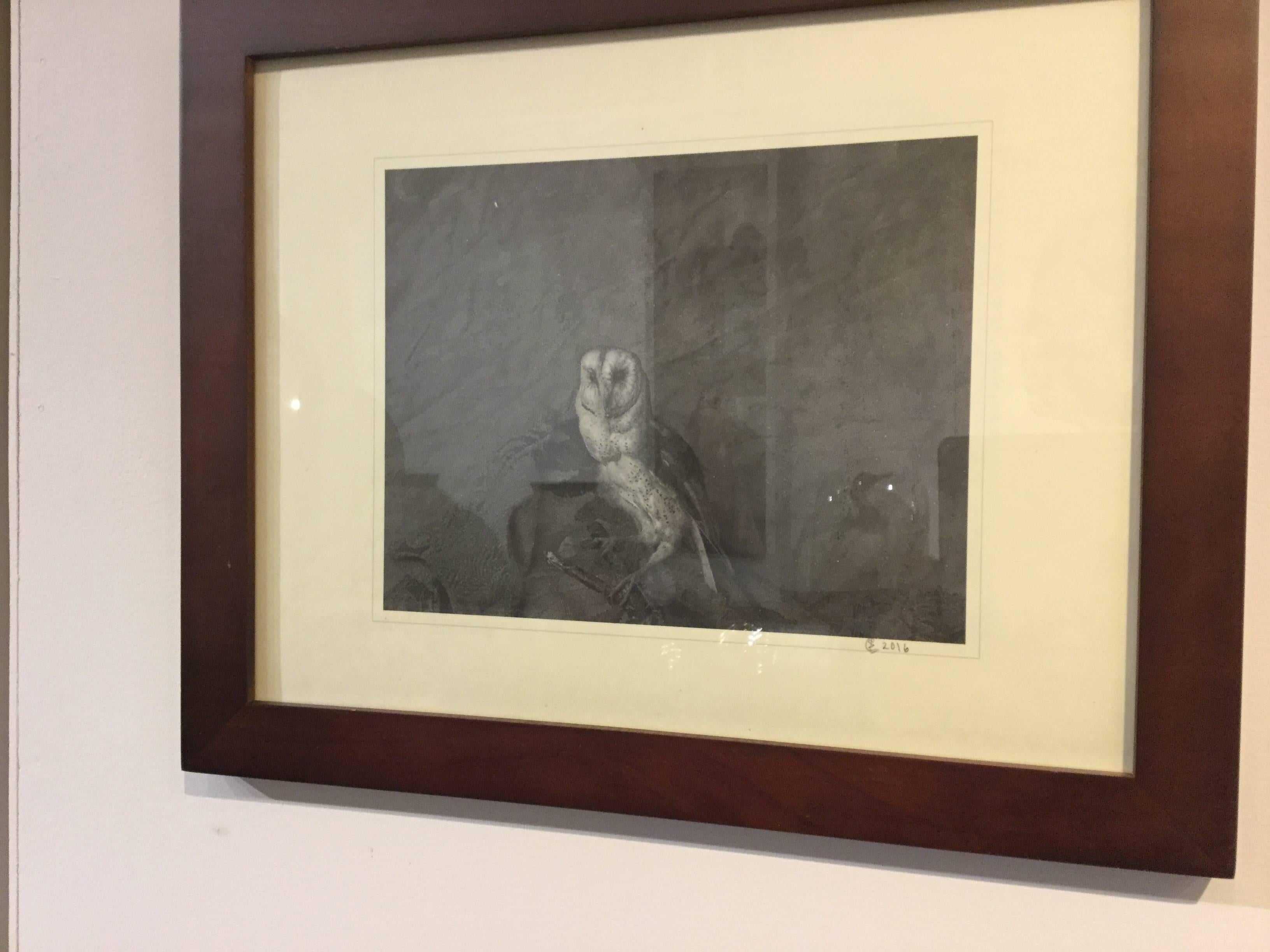 Photograph of a Barn Owl In Excellent Condition For Sale In North Beninngton, VT