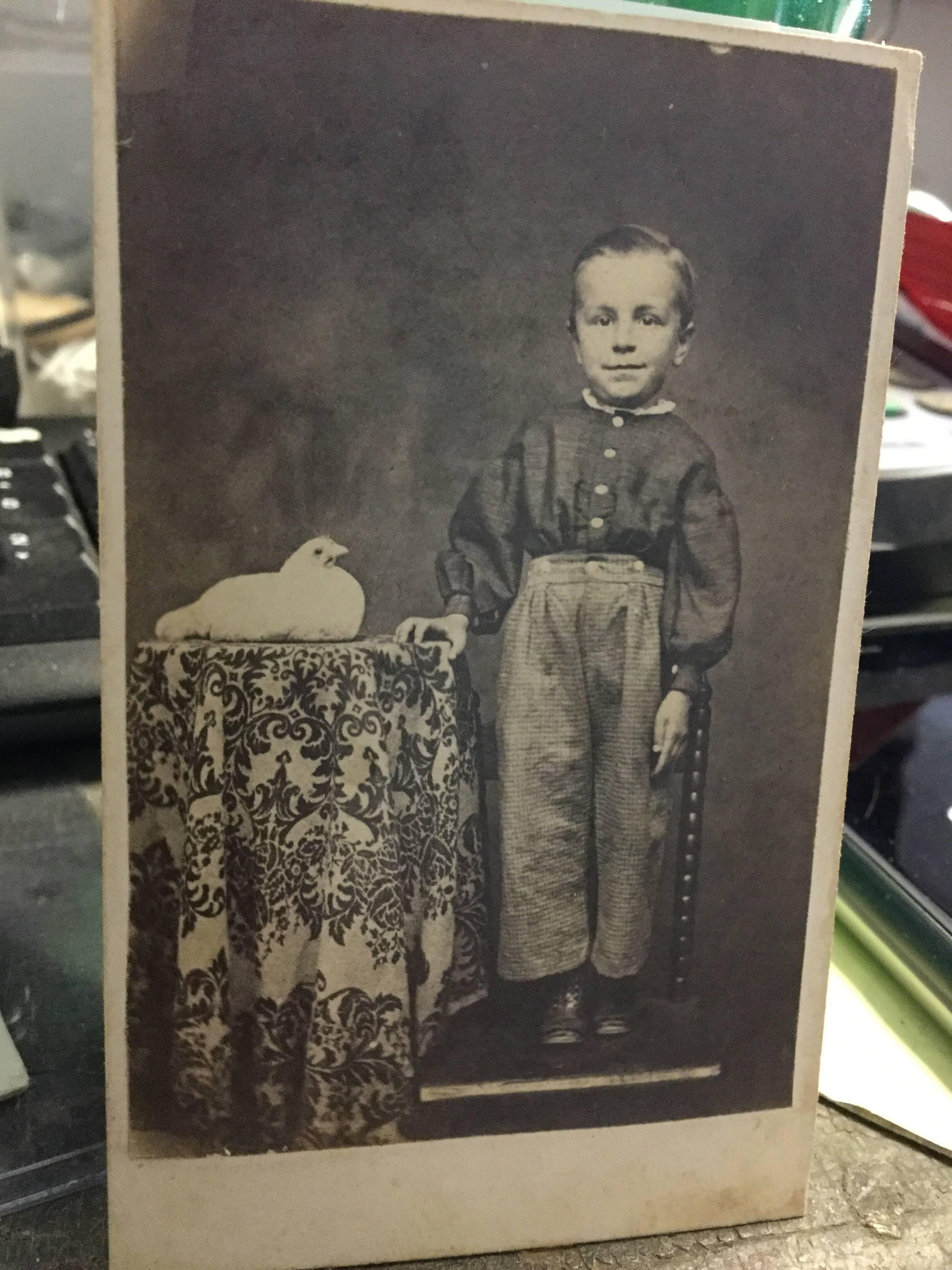 Photograph circa 1880 CDV little boy with his prize bird. Chicken dove?
Albumen print attached to card.