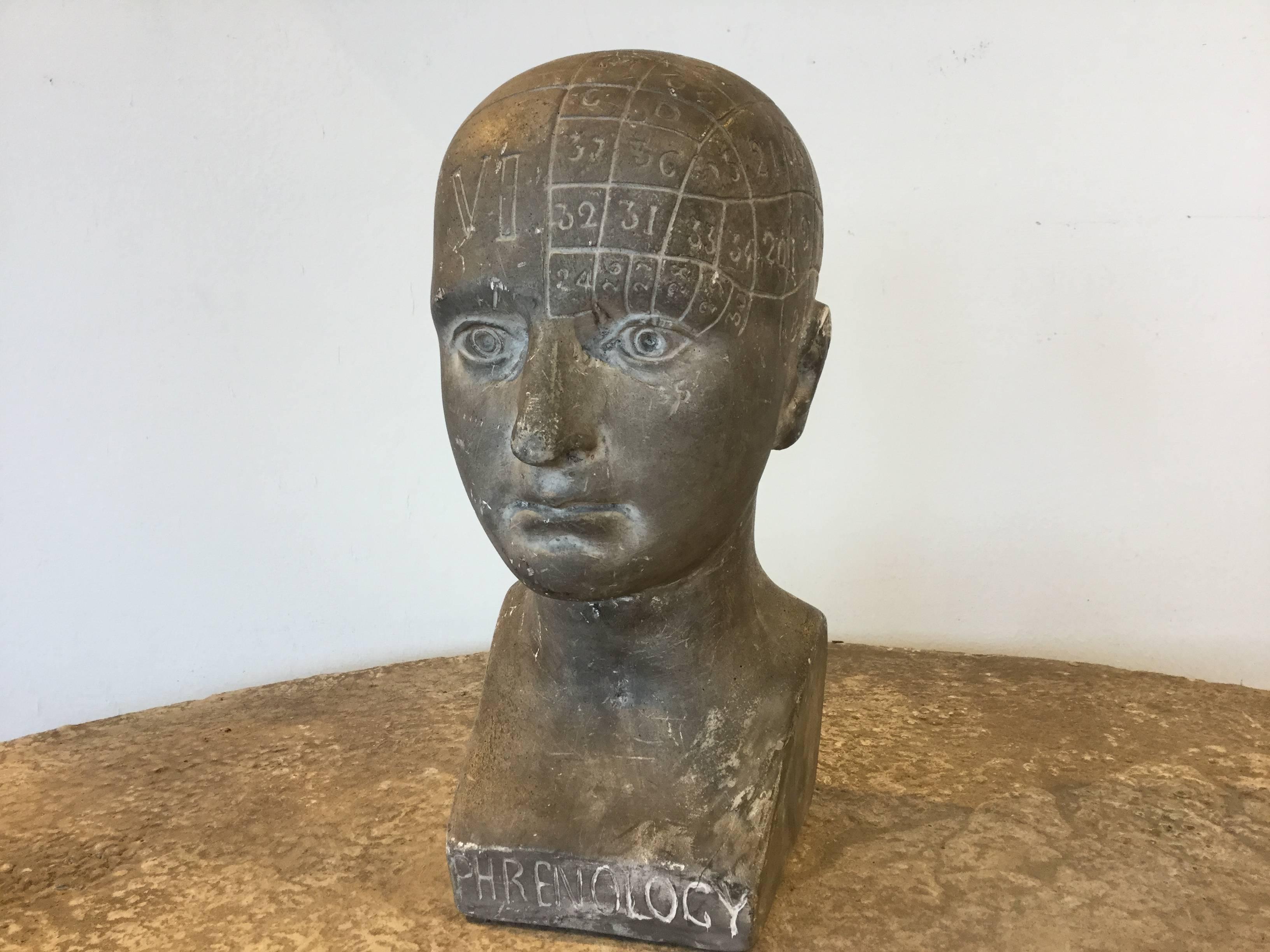 Old phrenology head. Plaster with grey coating and great patina from extensive handling. 
