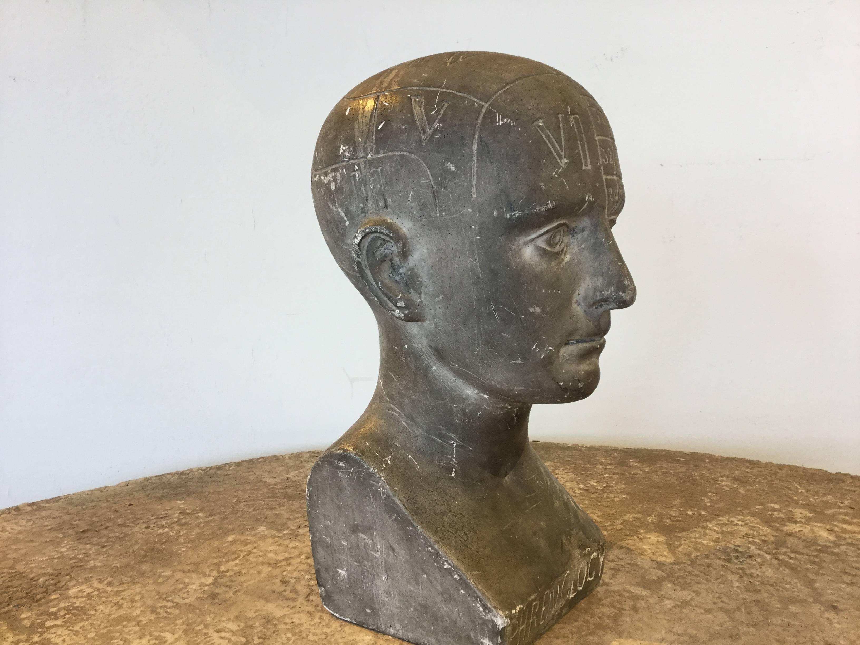 Unknown Old Century Phrenology Head