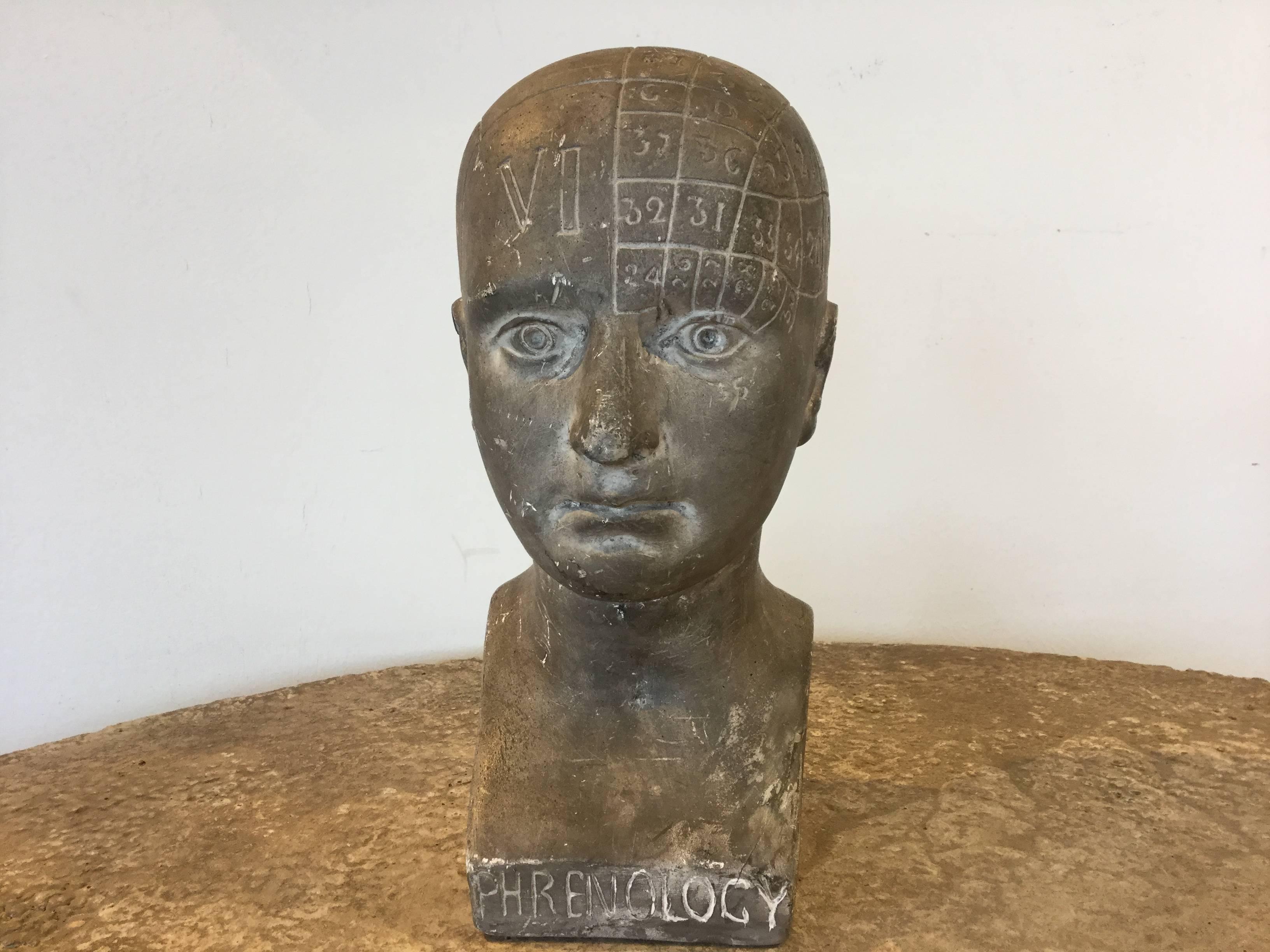 Old Century Phrenology Head In Excellent Condition In North Beninngton, VT