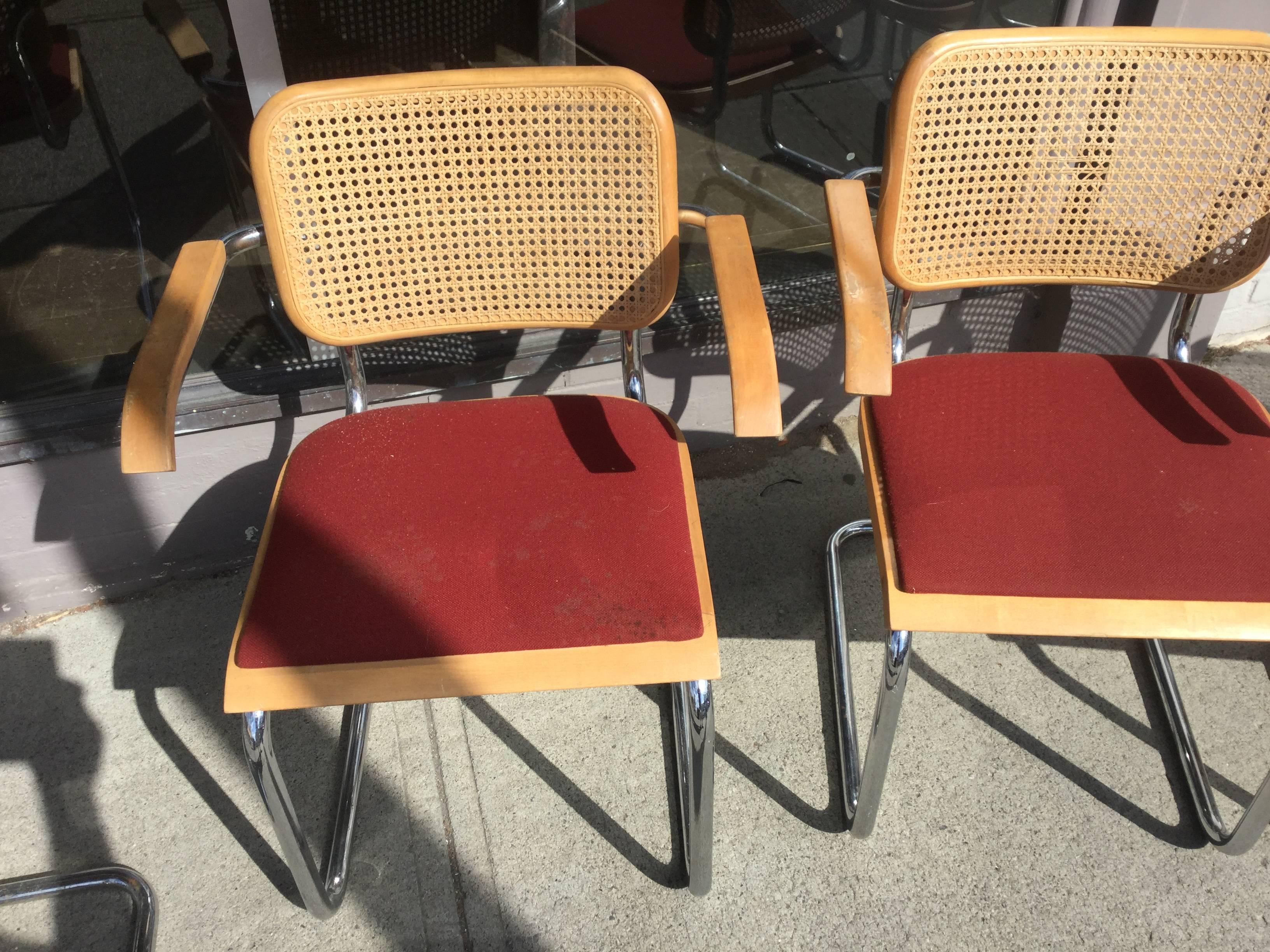American Eight Early Marcel Breuer Cesca Chairs by Thonet MCM For Sale