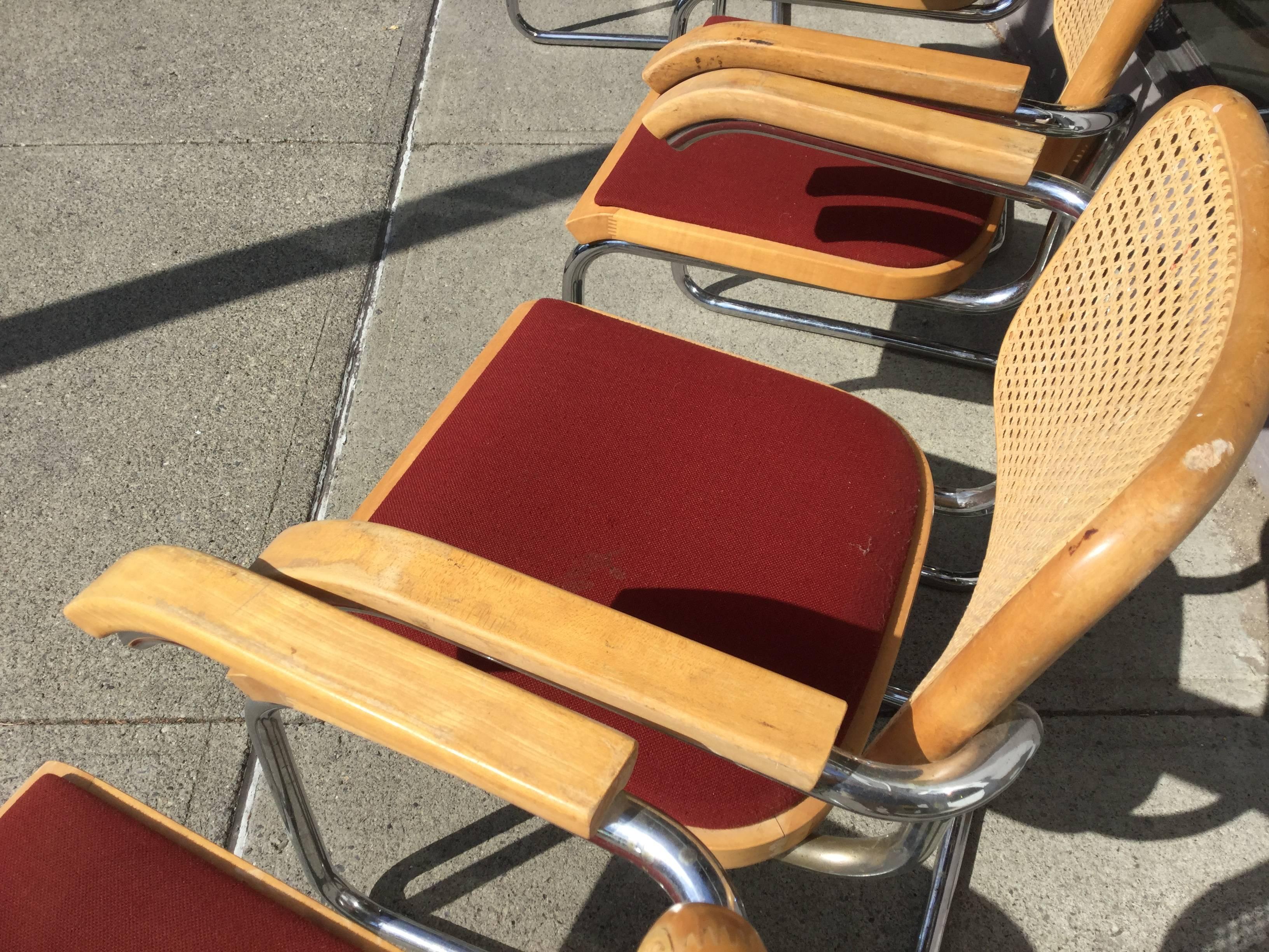 20th Century Eight Early Marcel Breuer Cesca Chairs by Thonet MCM For Sale