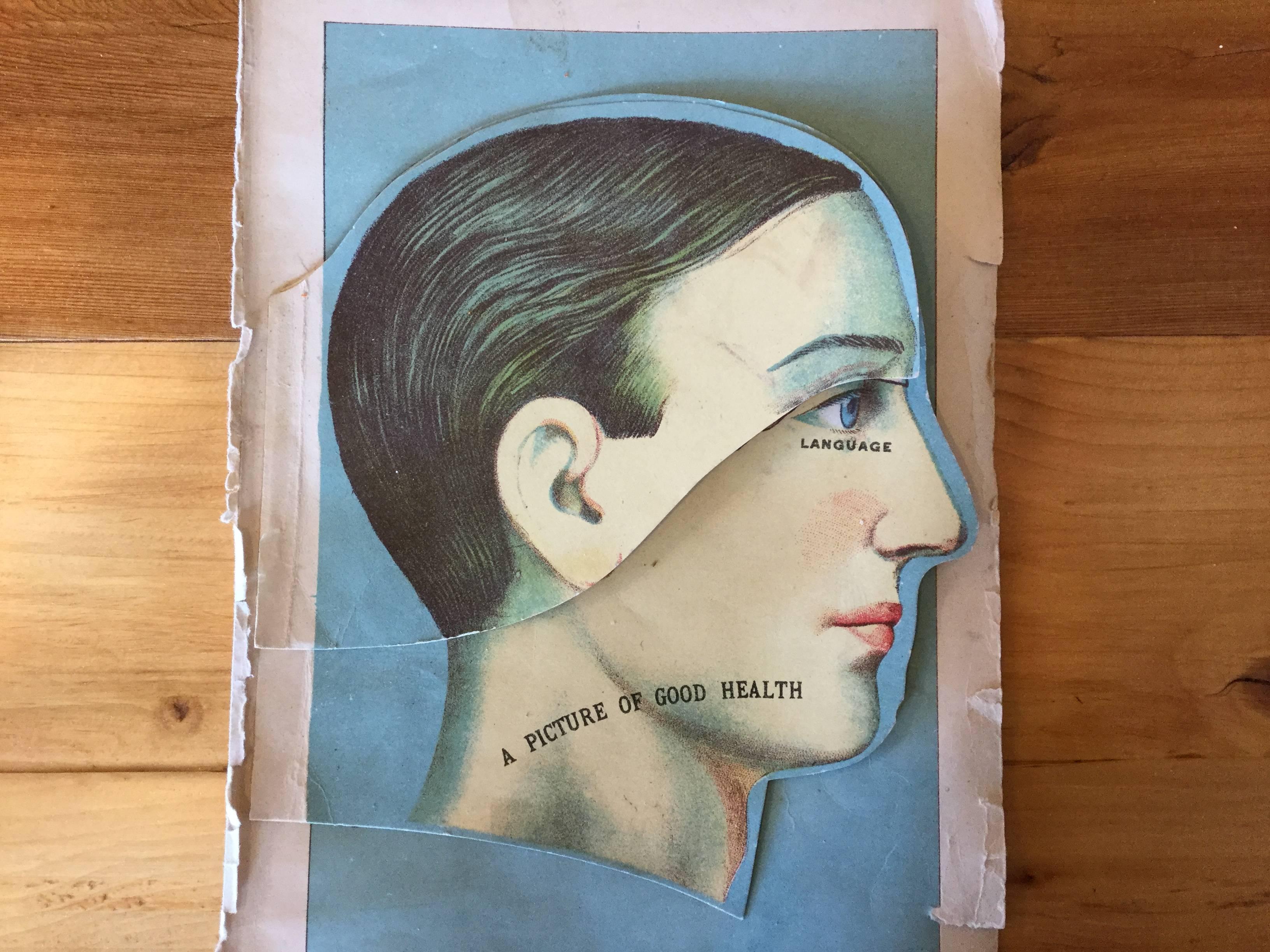 Phrenology Chart Print In Good Condition For Sale In North Beninngton, VT