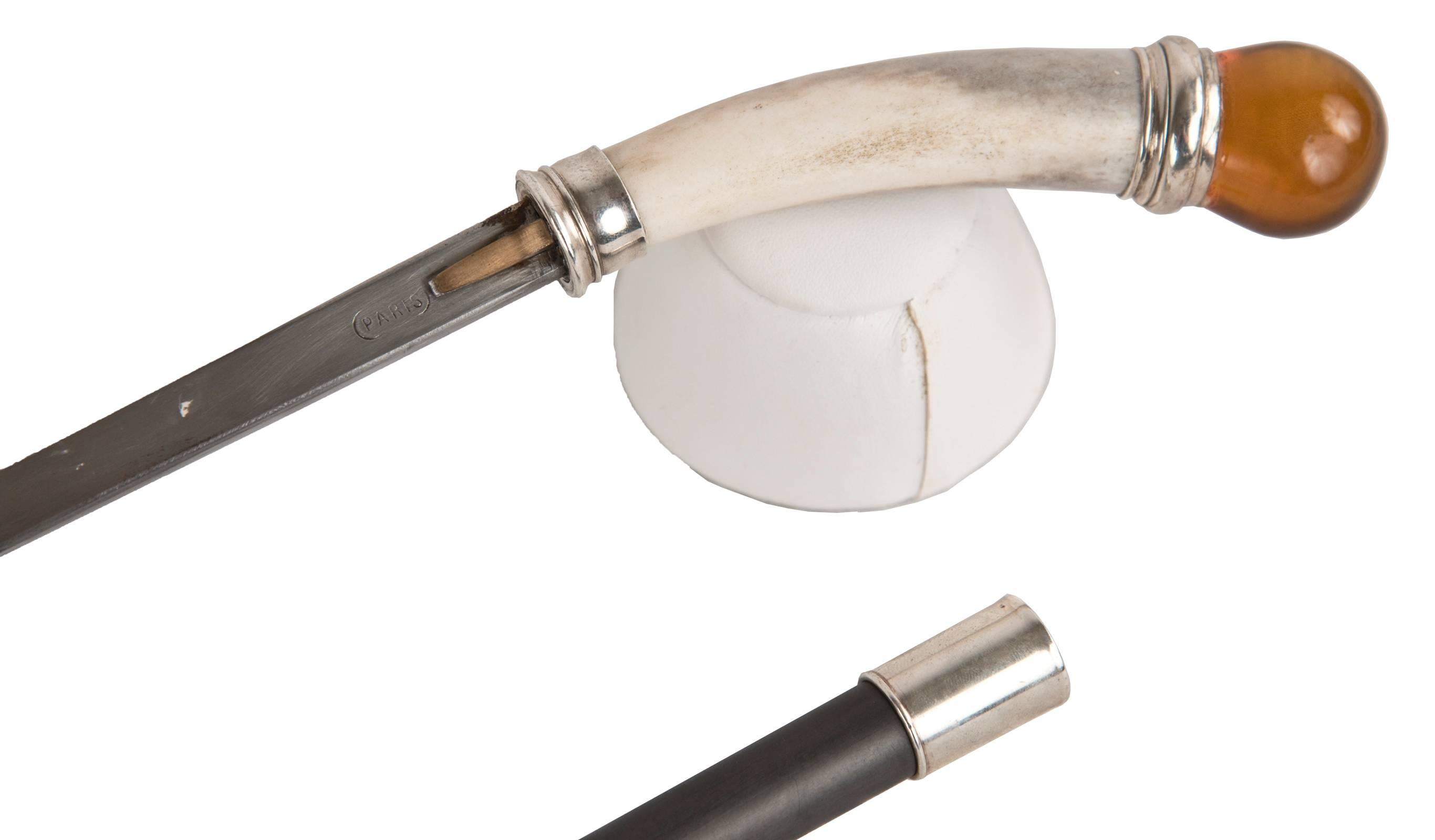 modern cane
