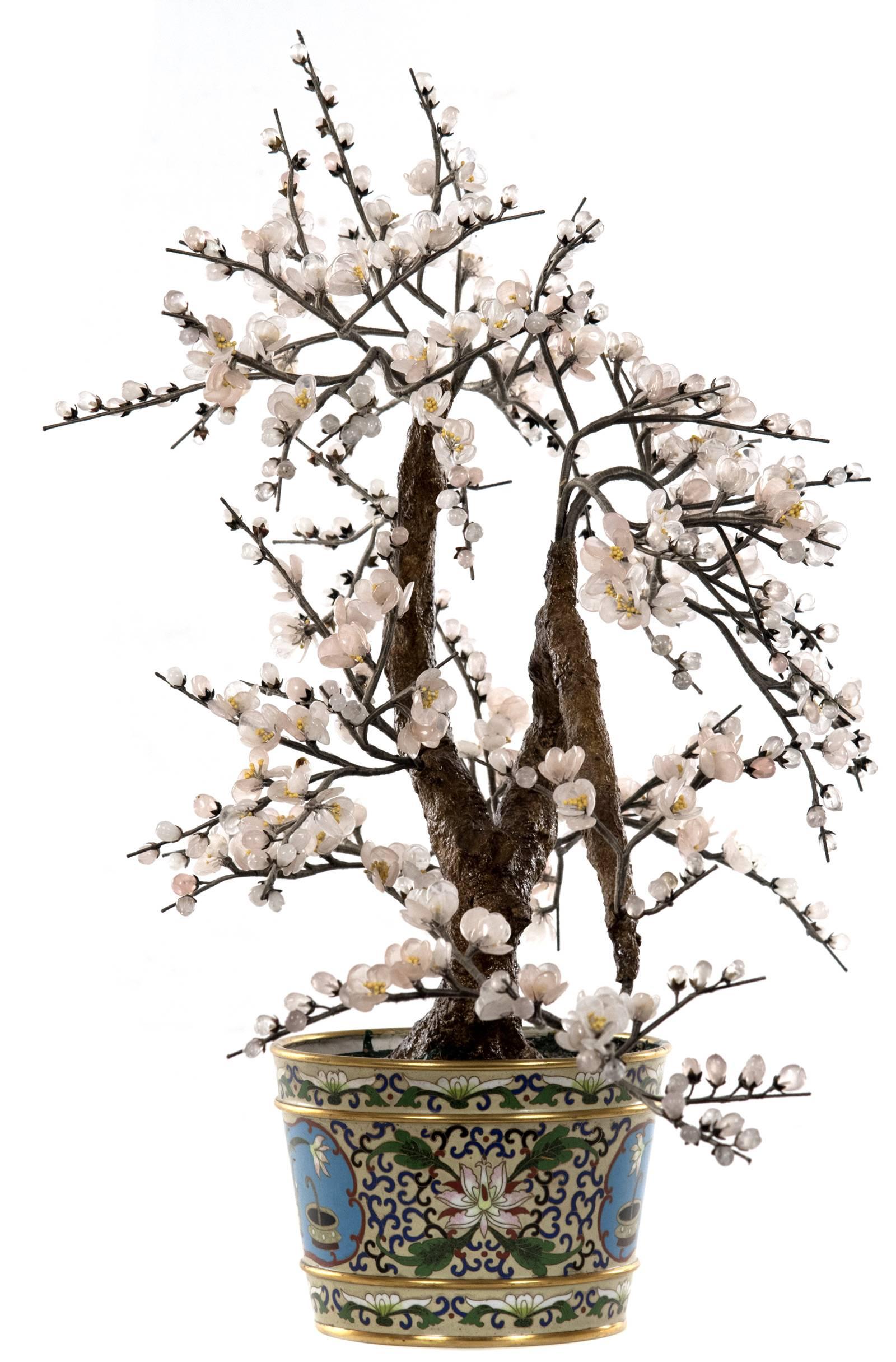 An enamel jardinière planted with a gnarled prunus tree bearing white and pink tourmaline blossoms and yellow pistils. The round jardinière is rimmed and banded in gold enamel, the borders decorated with flowering white blooms and foliage. The