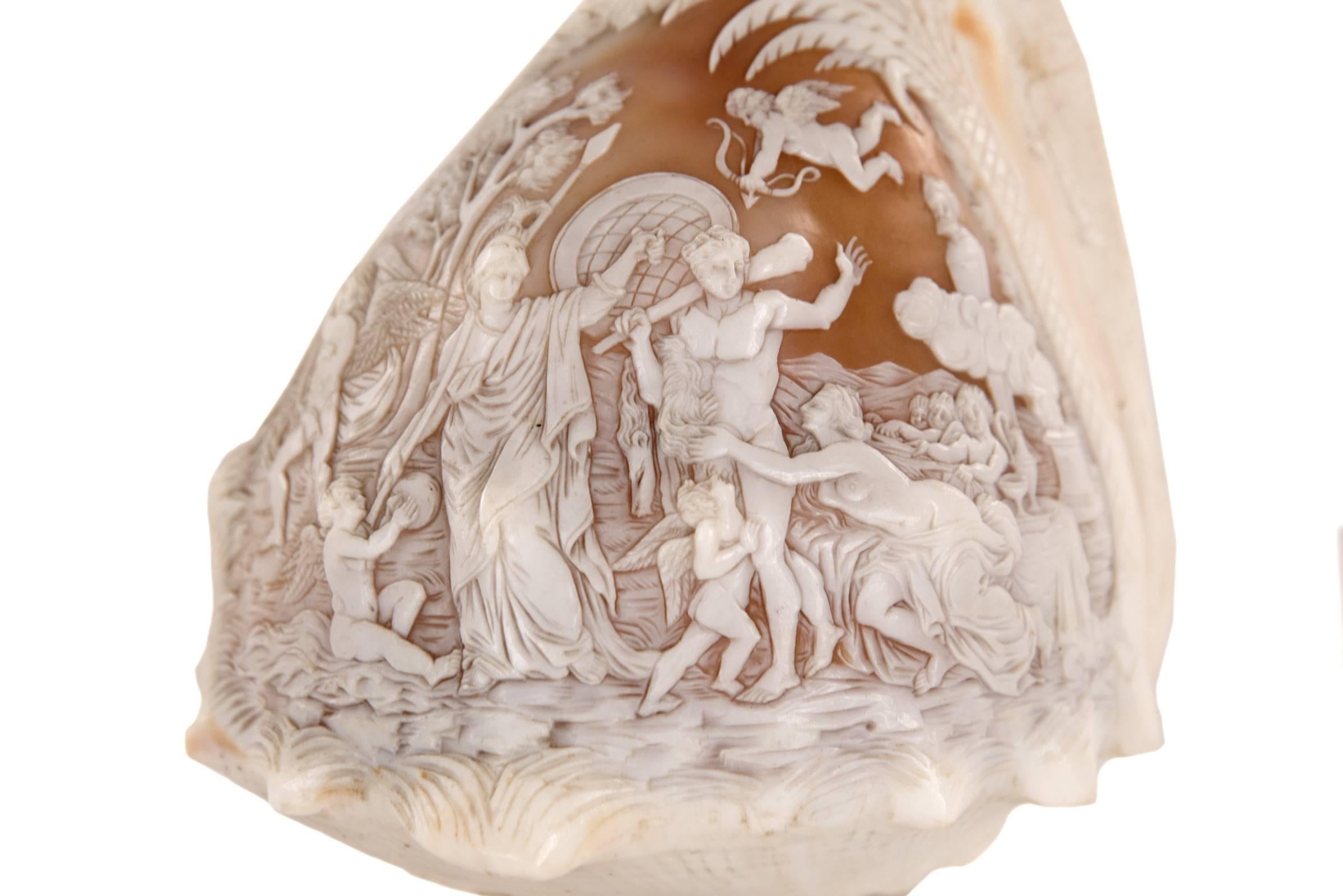 cameo conch shell